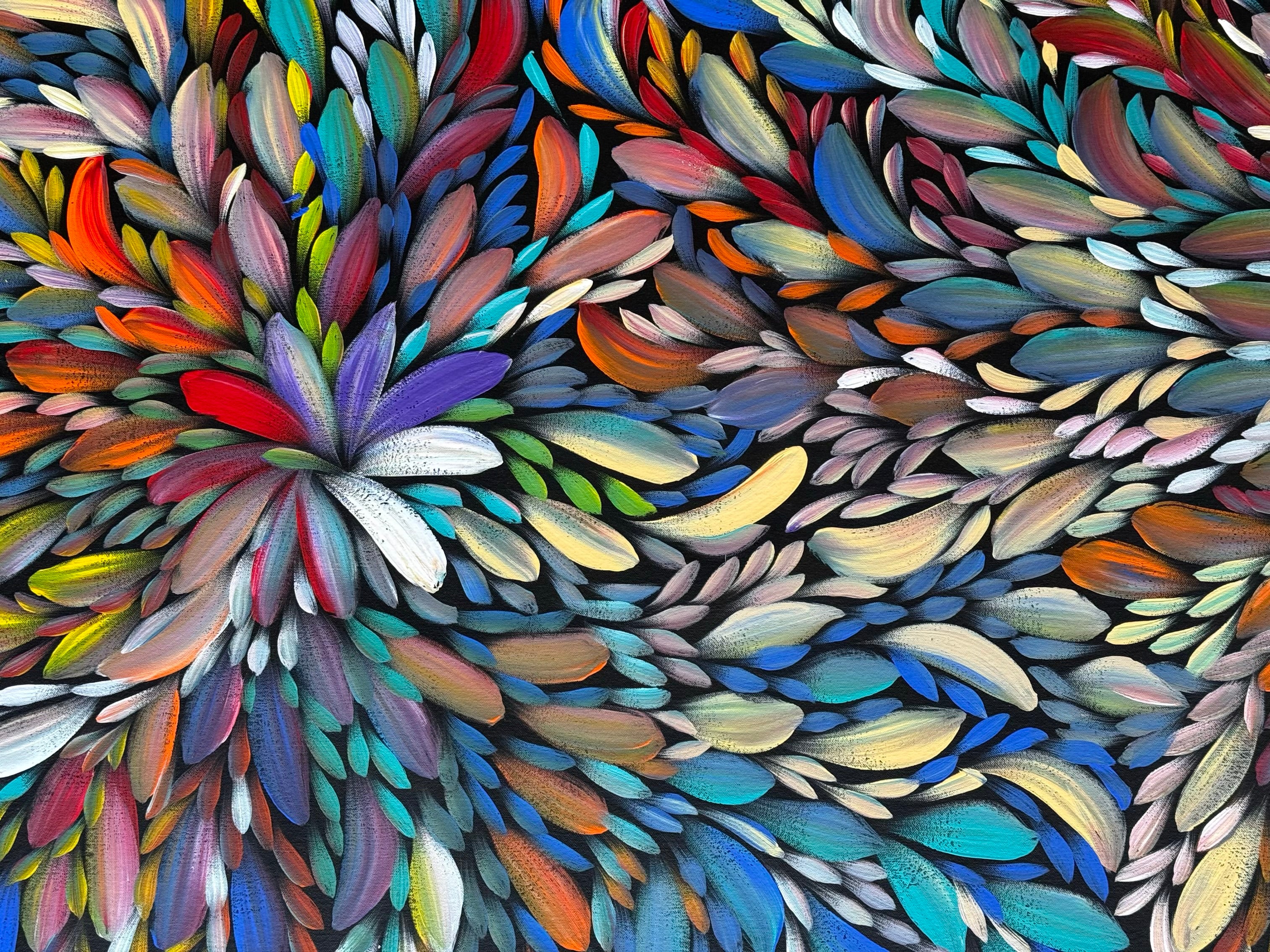 Louise Numina Napananka - Bush Medicine Leaves .41-26