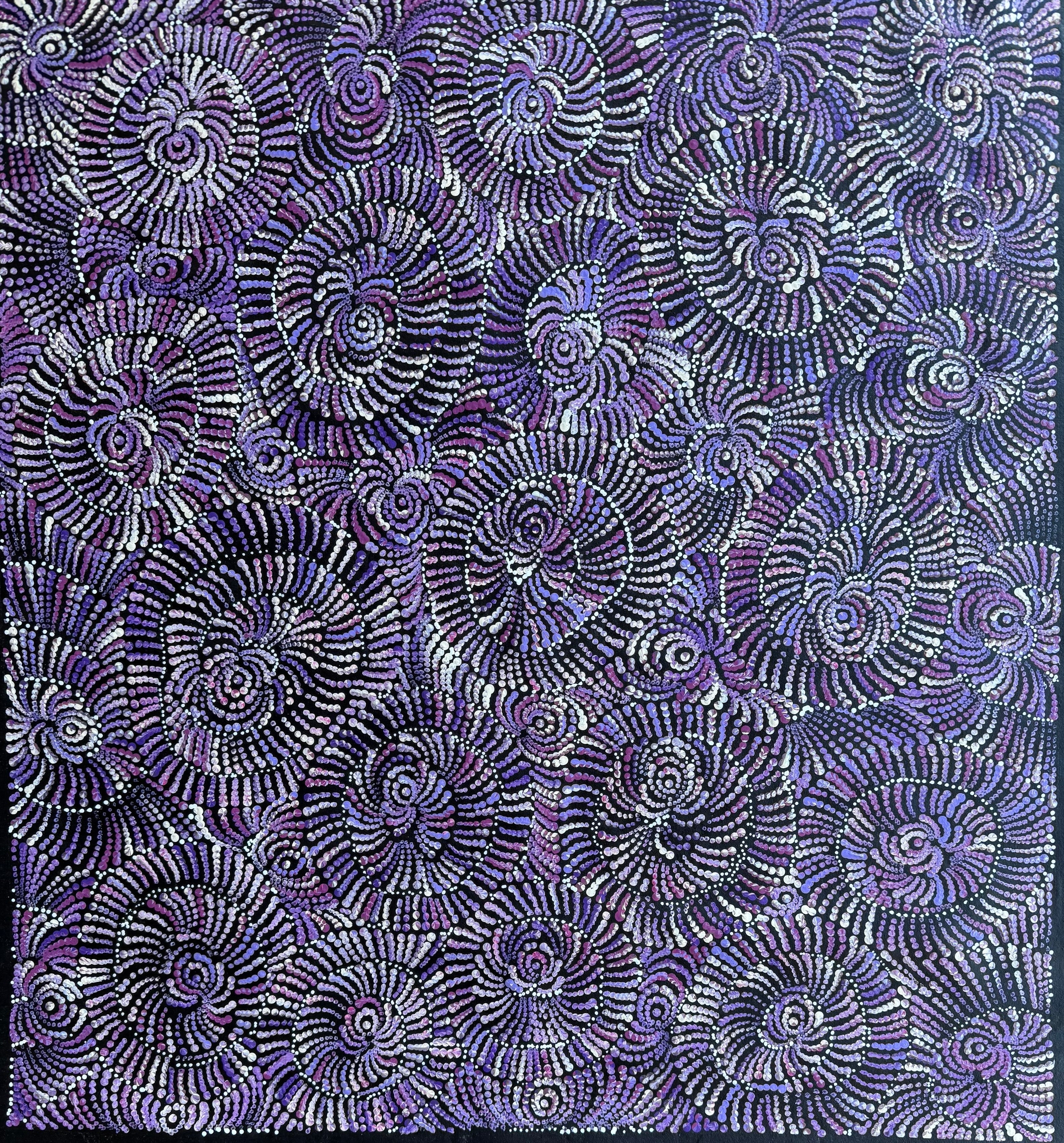 Maria Nampijinpa Brown - Flying Ants Dreaming (Pamapardu Jukurrpa) .35-8