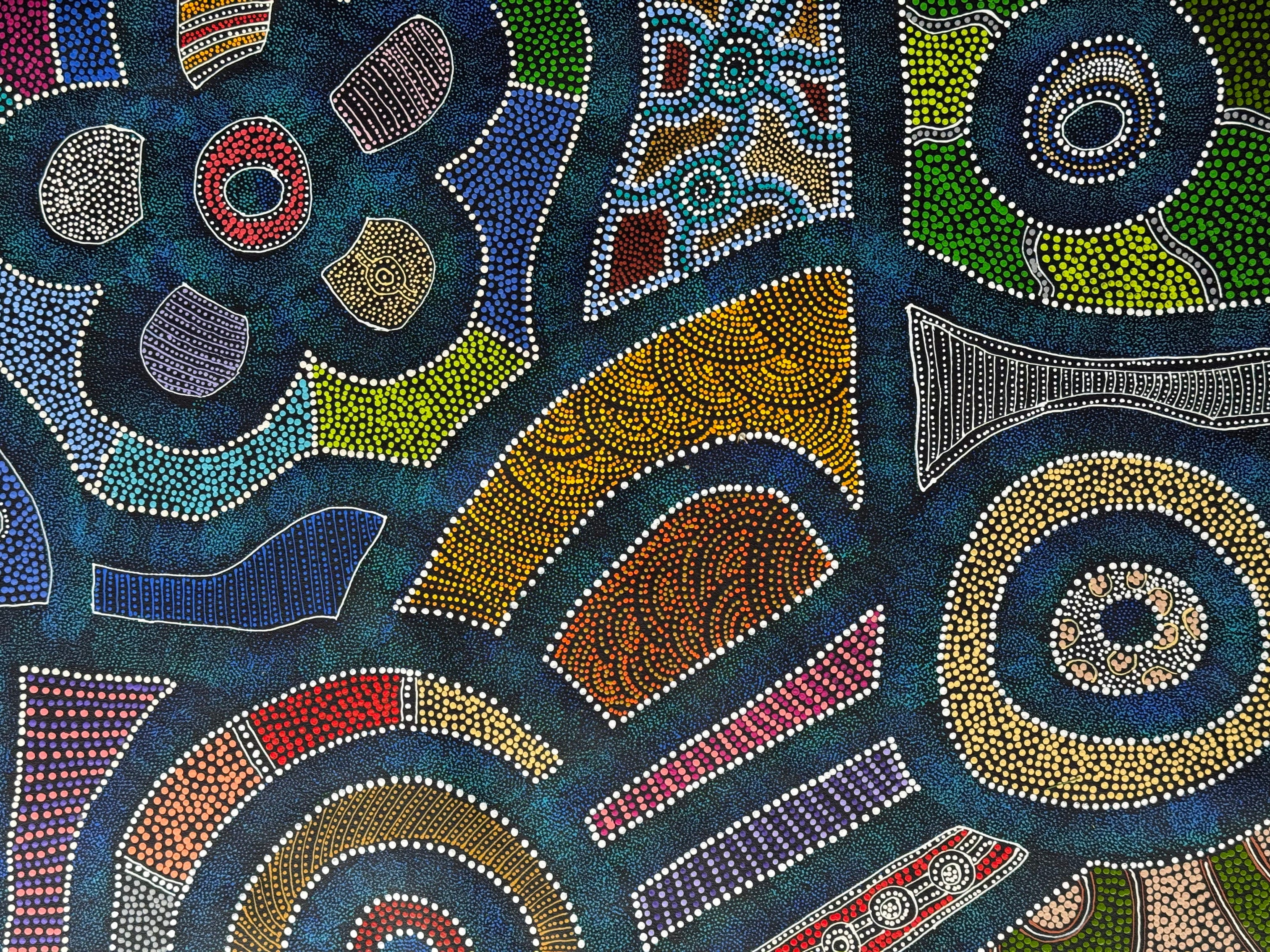 Sharon Turner - Thorny Lizard Dreaming - 168x97cm .06