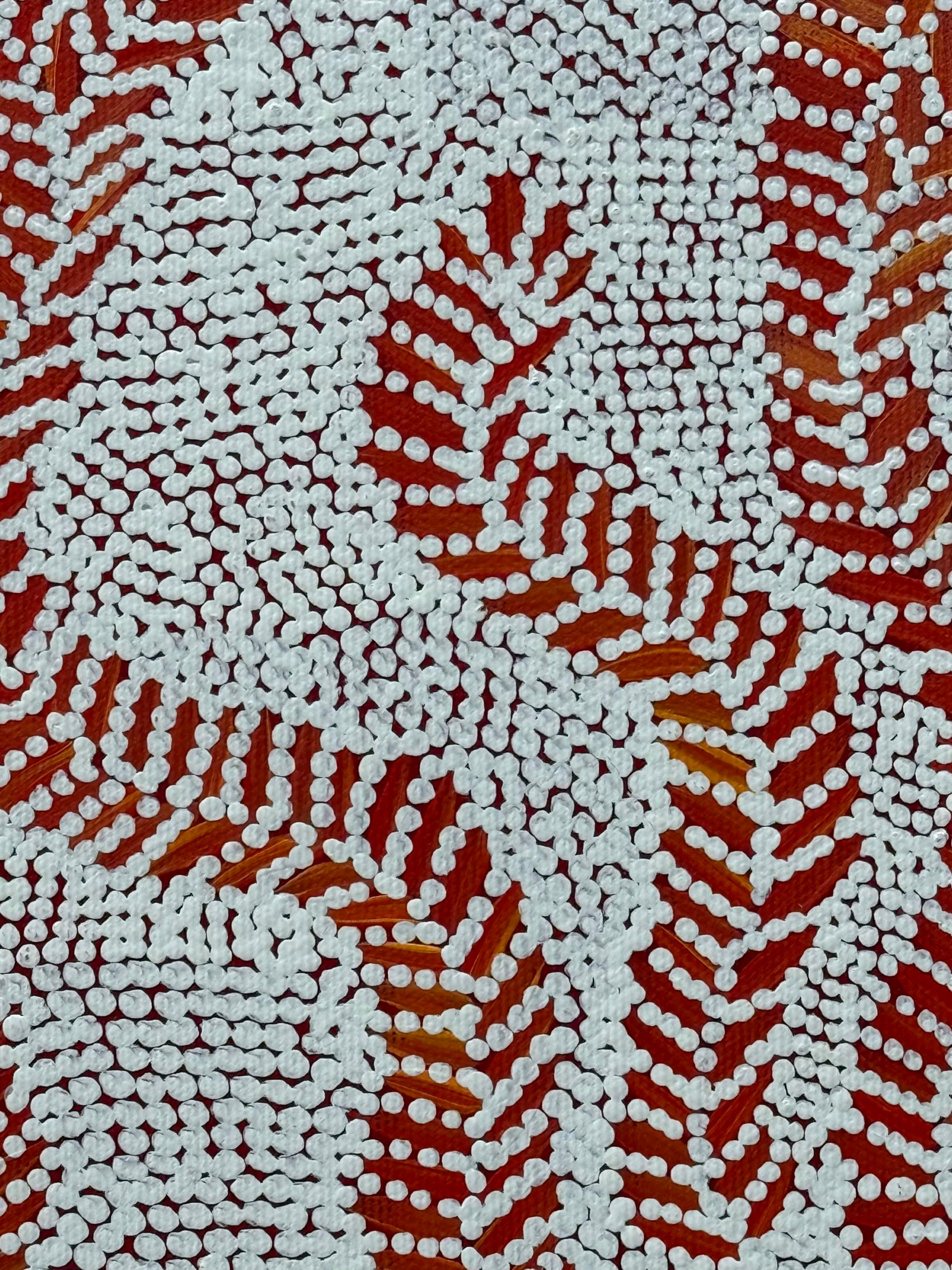 Patricia Nakamarra Oldfield - Karnta Jukurrpa (Women's Dreaming) Bush Medicine - Stretched