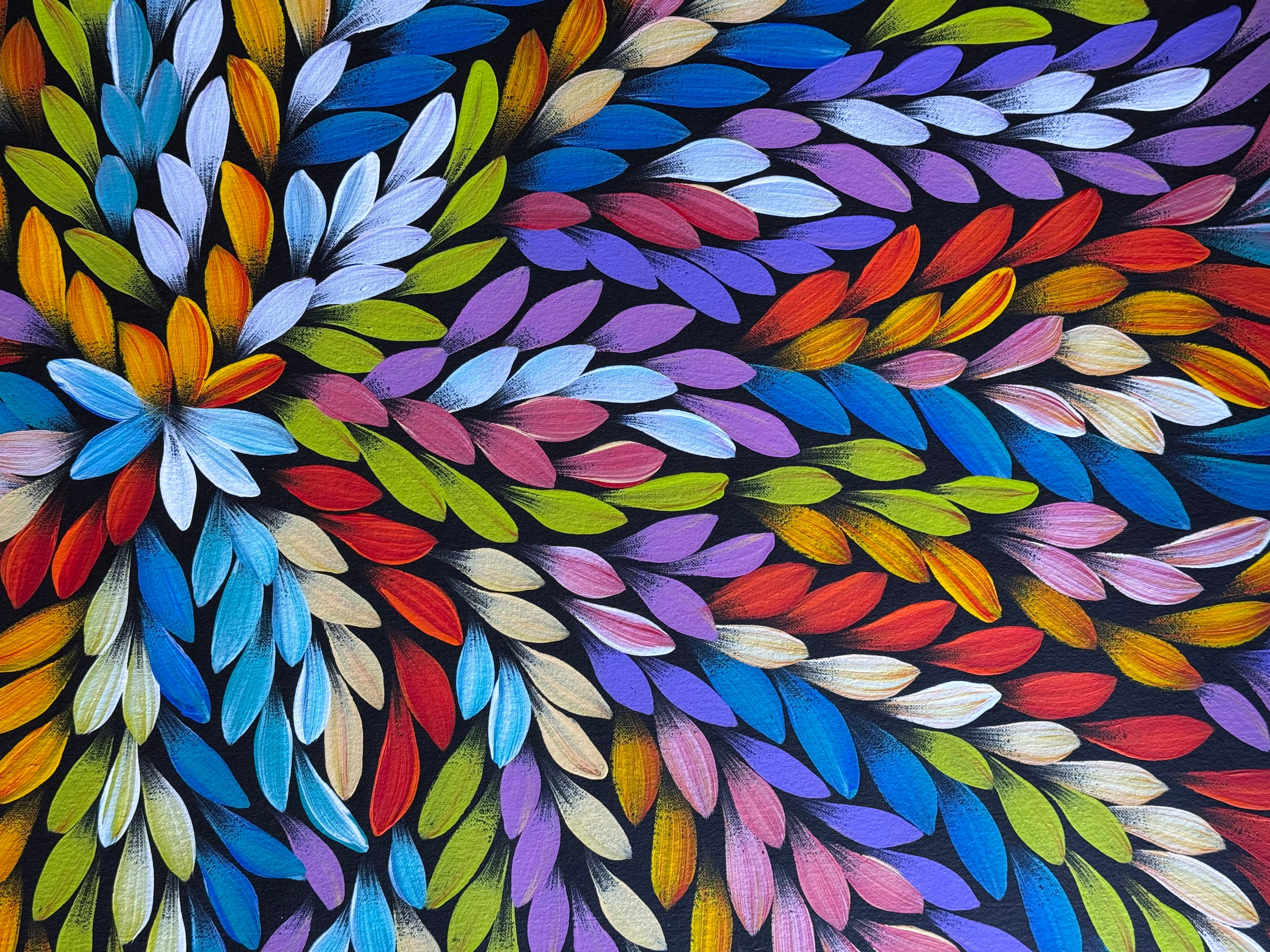 Jacinta Numina Waugh - Bush Medicine Leaves - 98x57cm .87-5