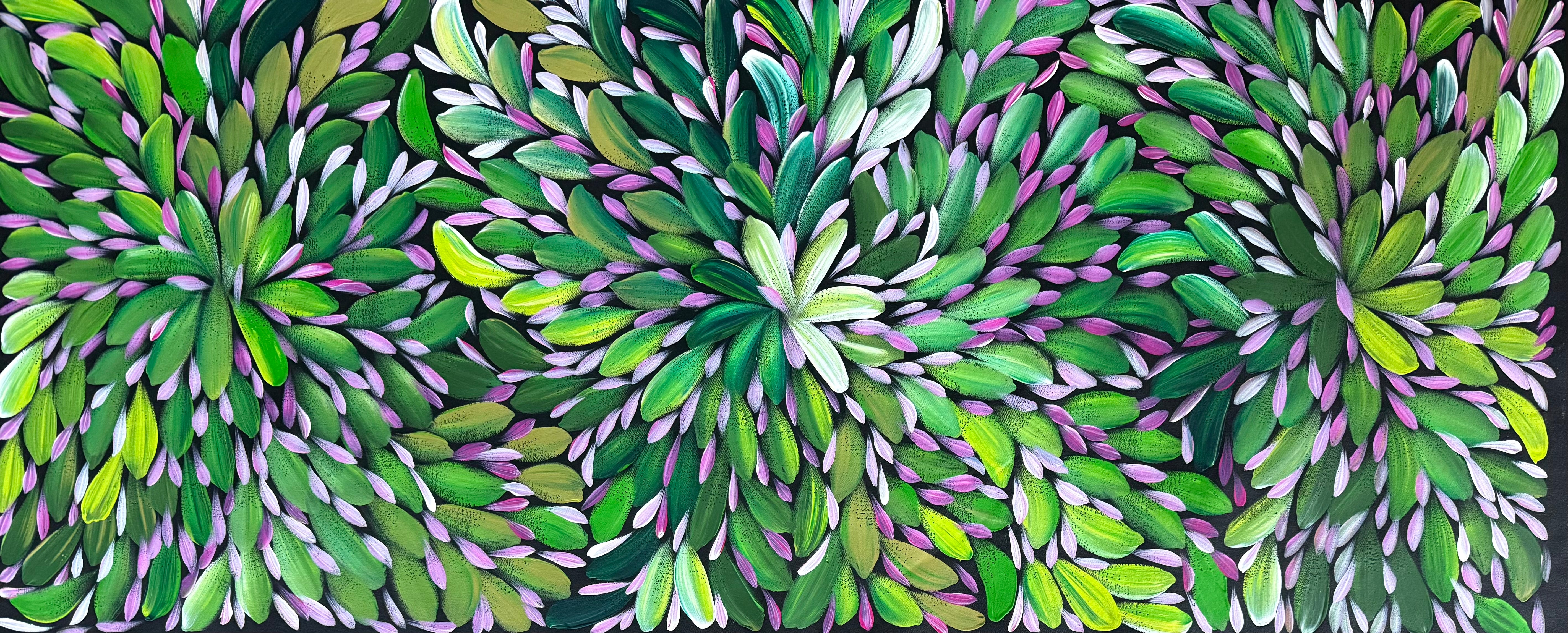 Louise Numina Napananka - Bush Medicine Leaves .16-32
