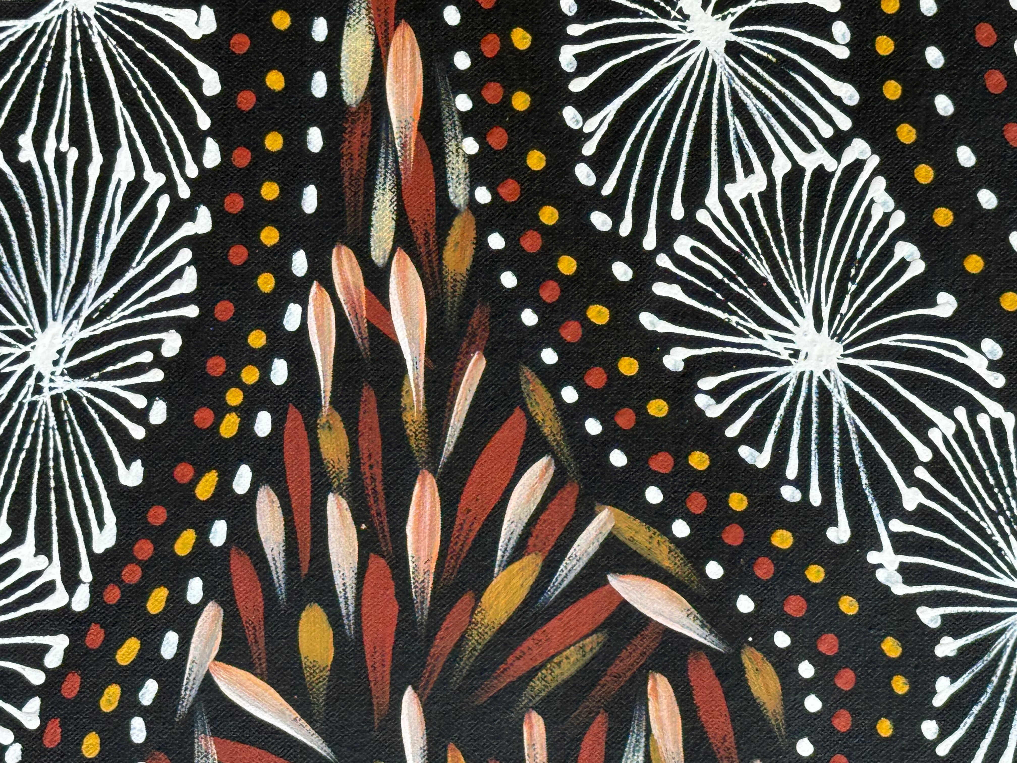 Selina Numina Kamprina - Seeds and Waterholes .92-11