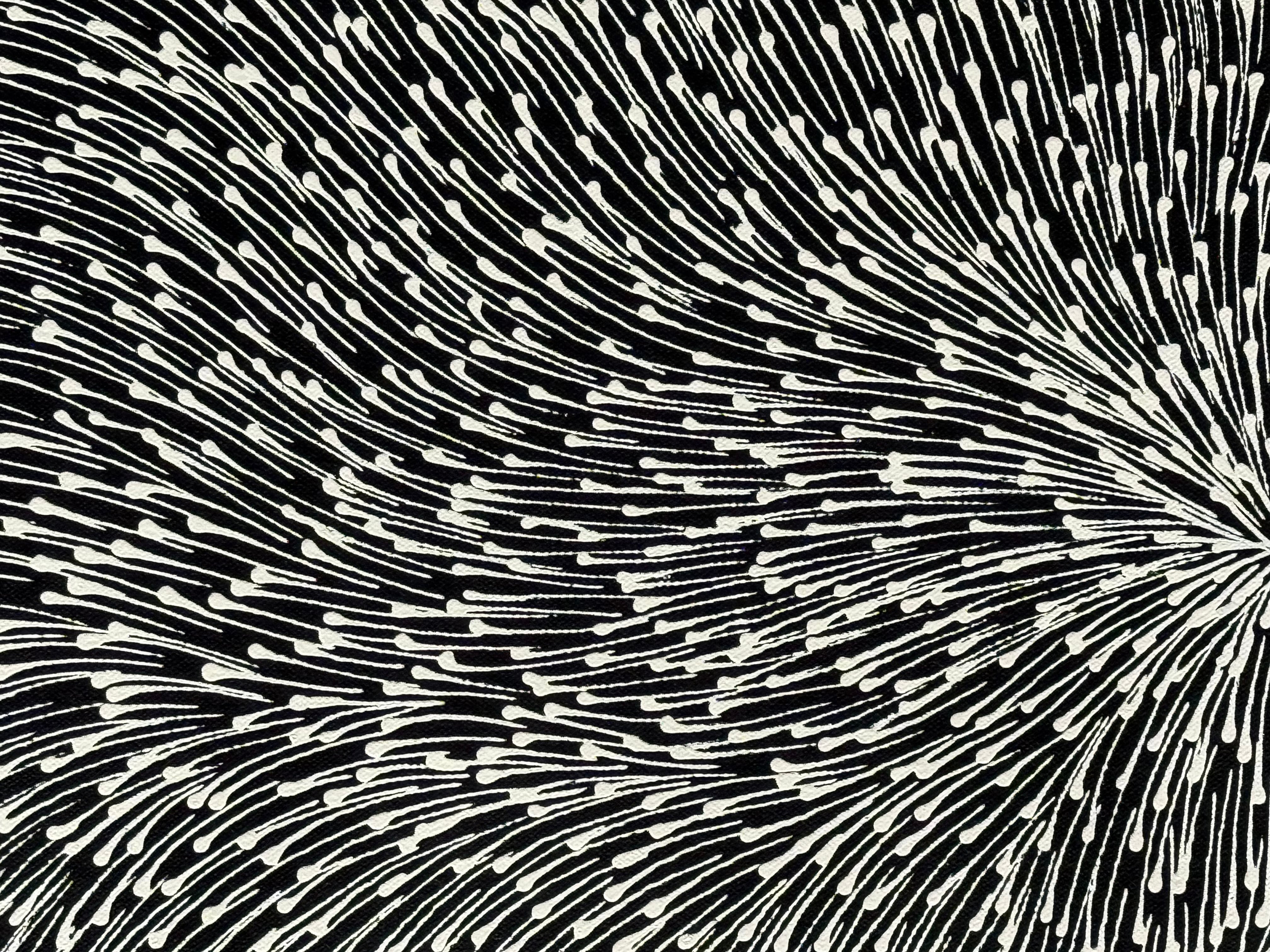 Sharon Numina - Bush Medicine Seeds .14-8