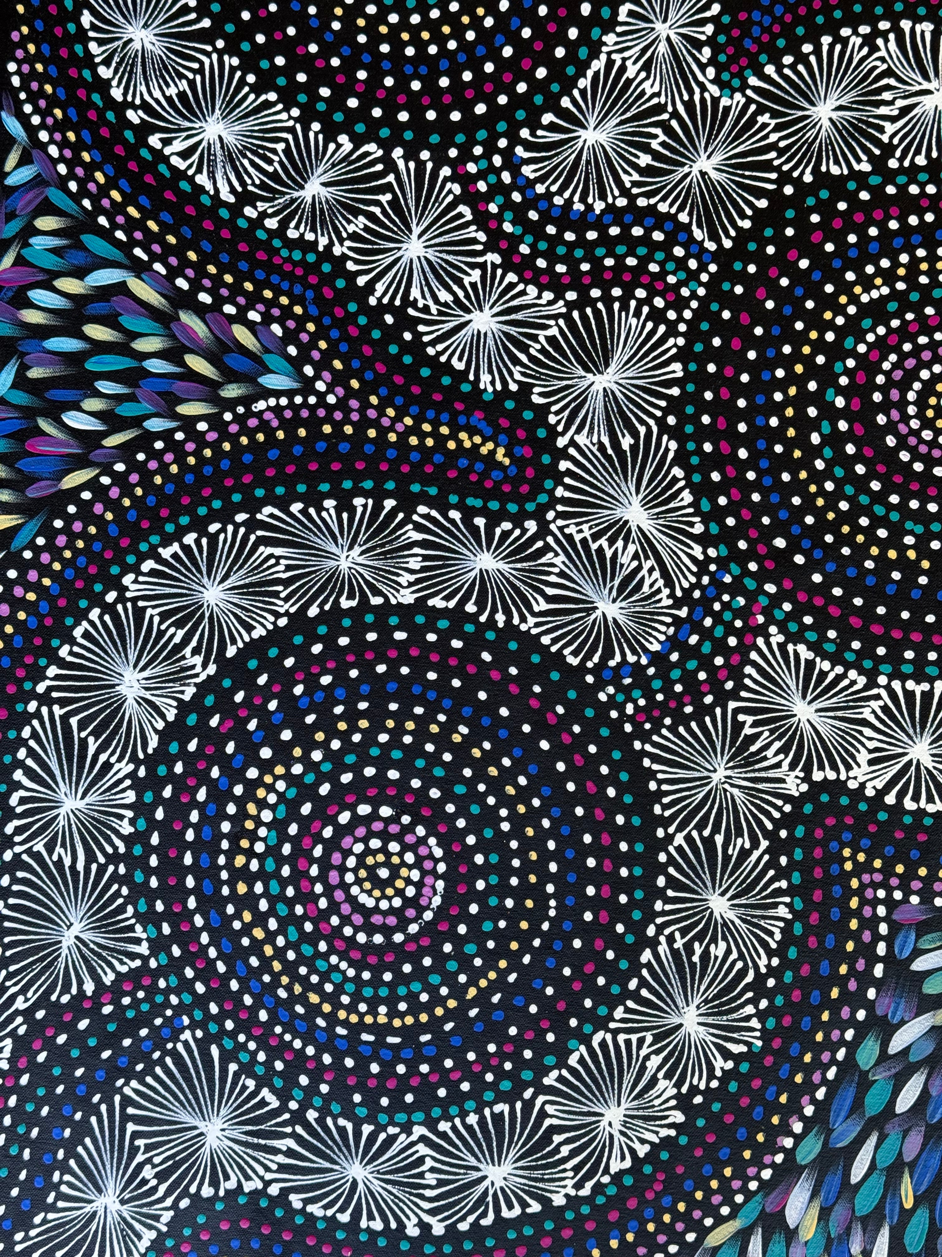 Selina Numina Kamprina - Seeds and Waterholes .92-17