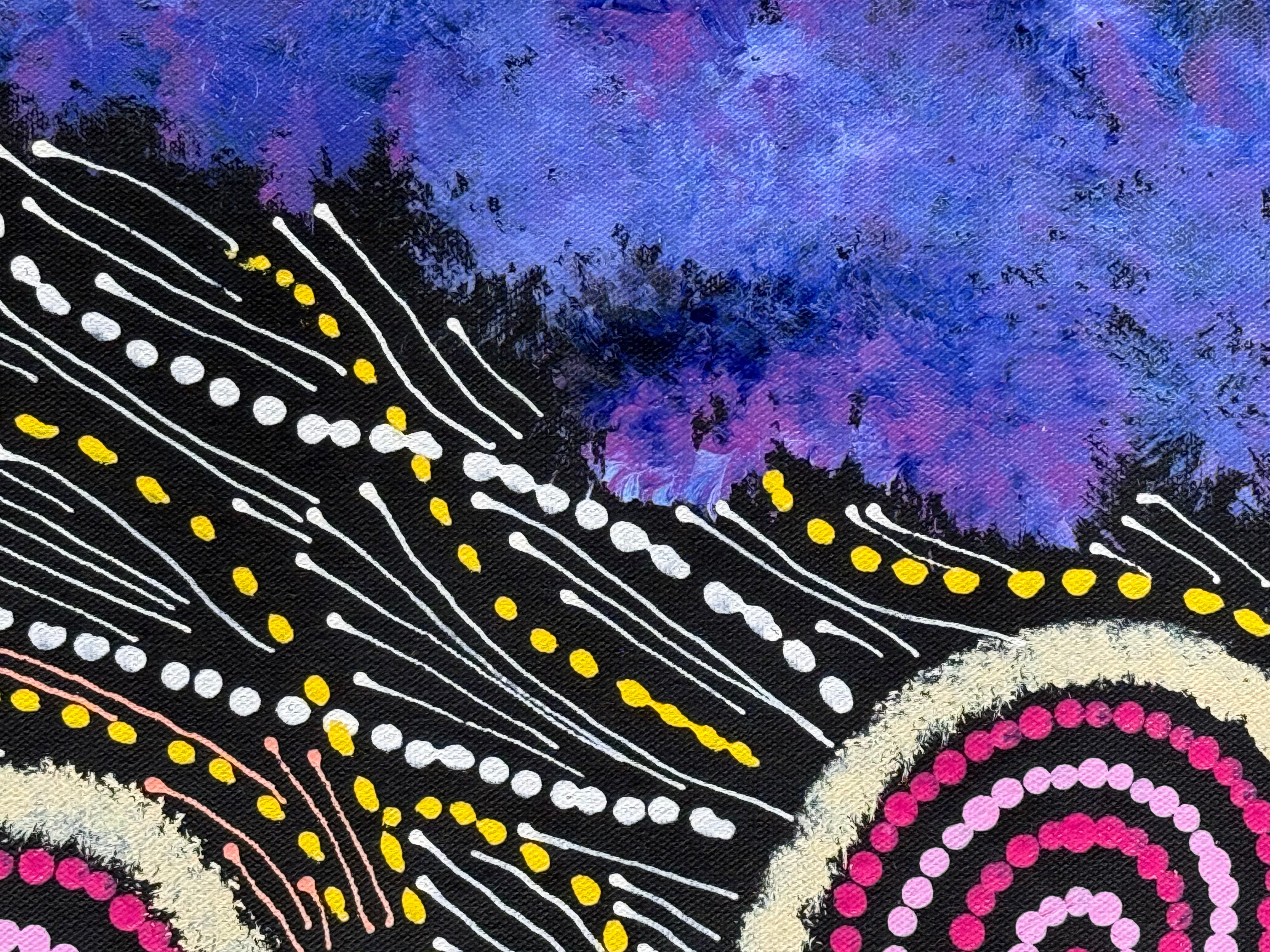 Maria Nampijinpa Brown - Seven Sisters Dreaming .63-8