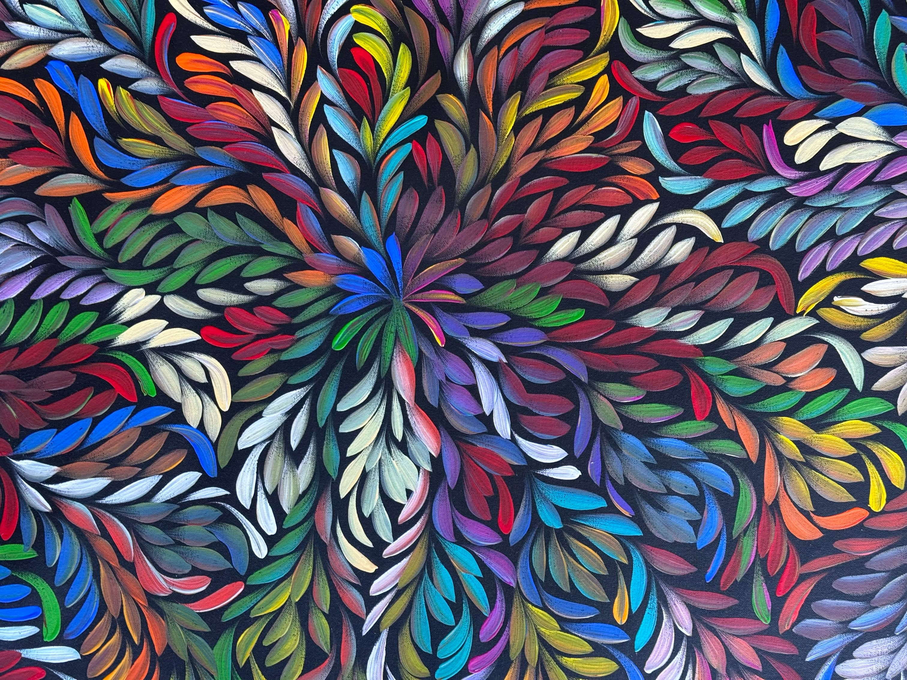 Louise Numina Napananka - Bush Medicine Leaves .57-59