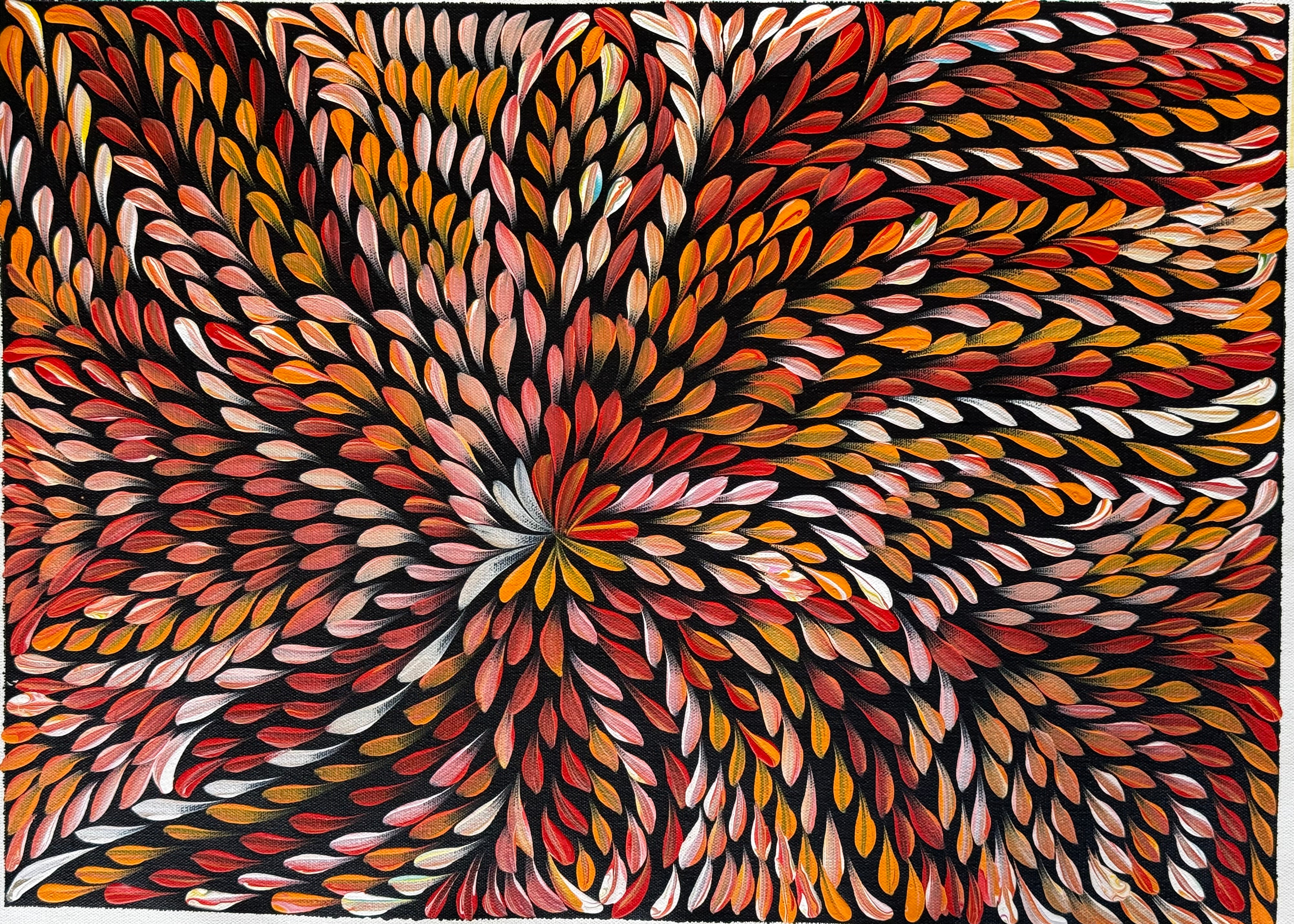 Caroline Numina - Bush Medicine Leaves .04-39
