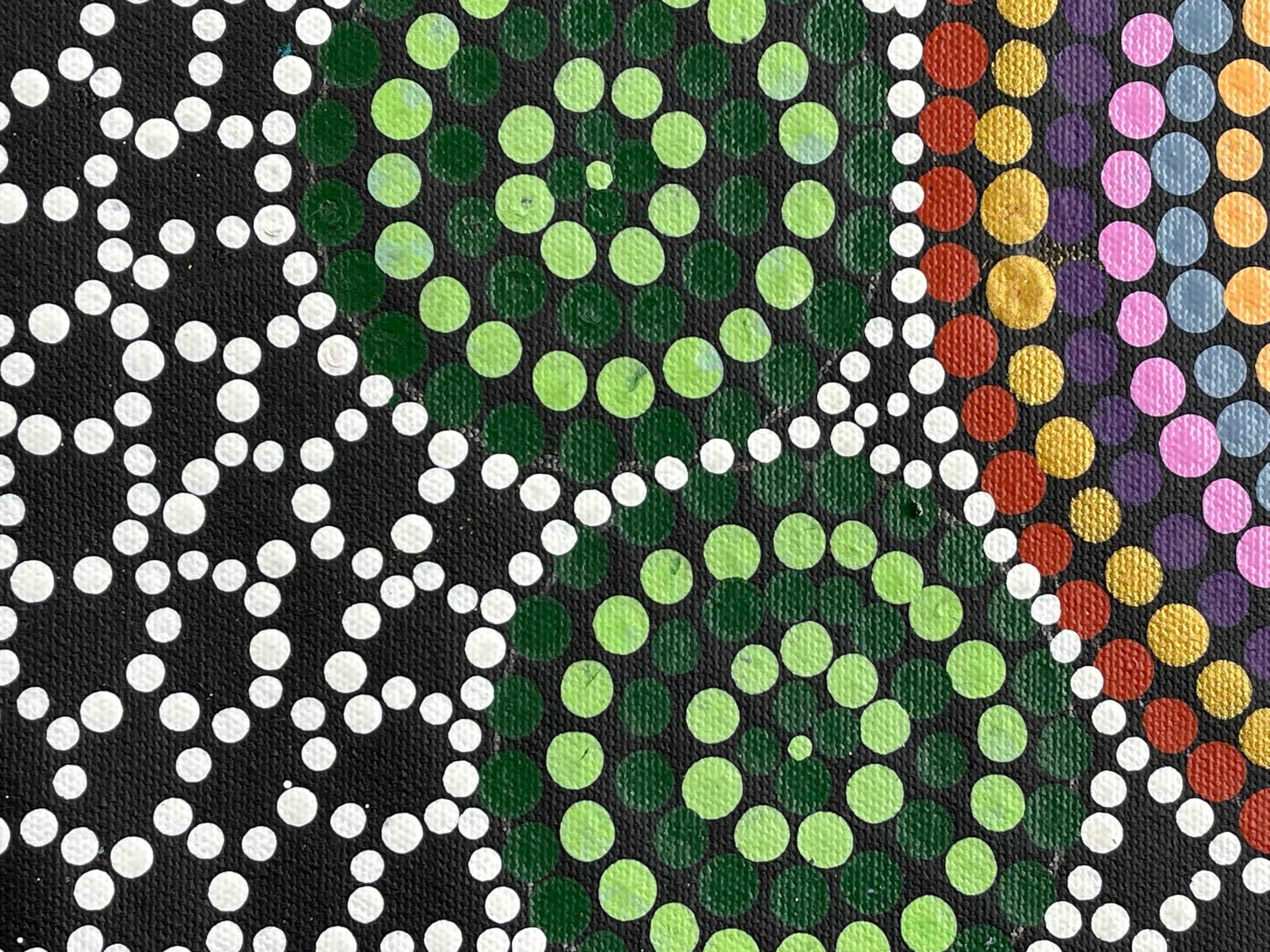 Maryanne Gibson - Bush Flowers, Bush Seeds, and Bush Medicine .27-1