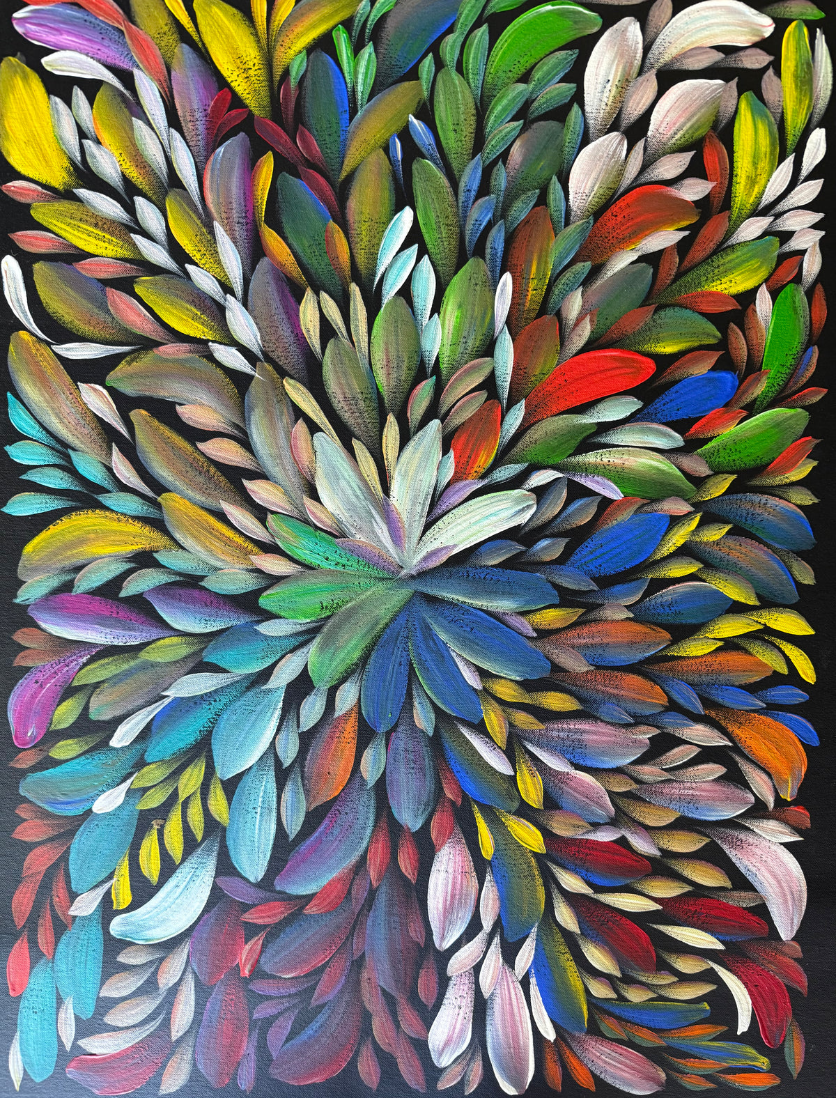 Louise Numina Napananka - Bush Medicine Leaves .36-27