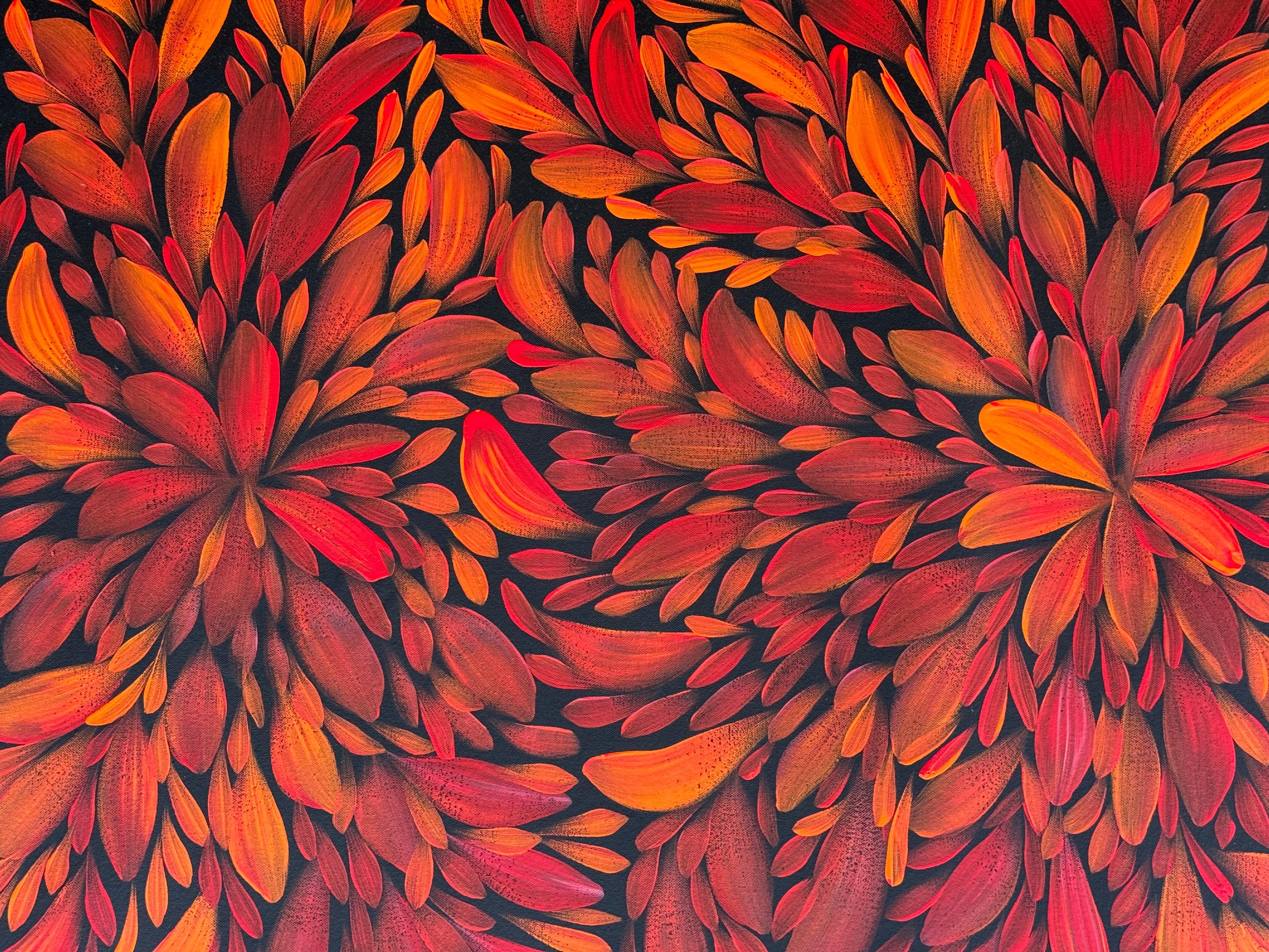 Louise Numina Napananka - Bush Medicine Leaves .57-45