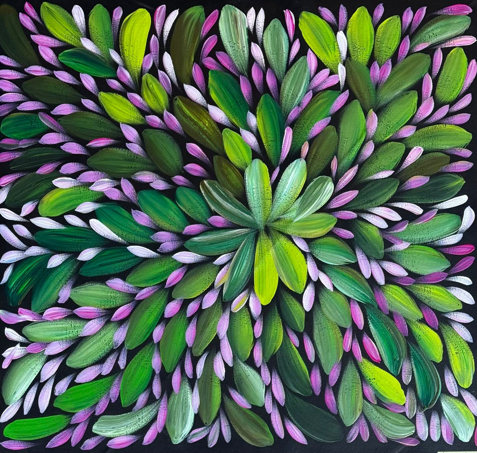 Louise Numina Napananka - Bush Medicine Leaves .49-5