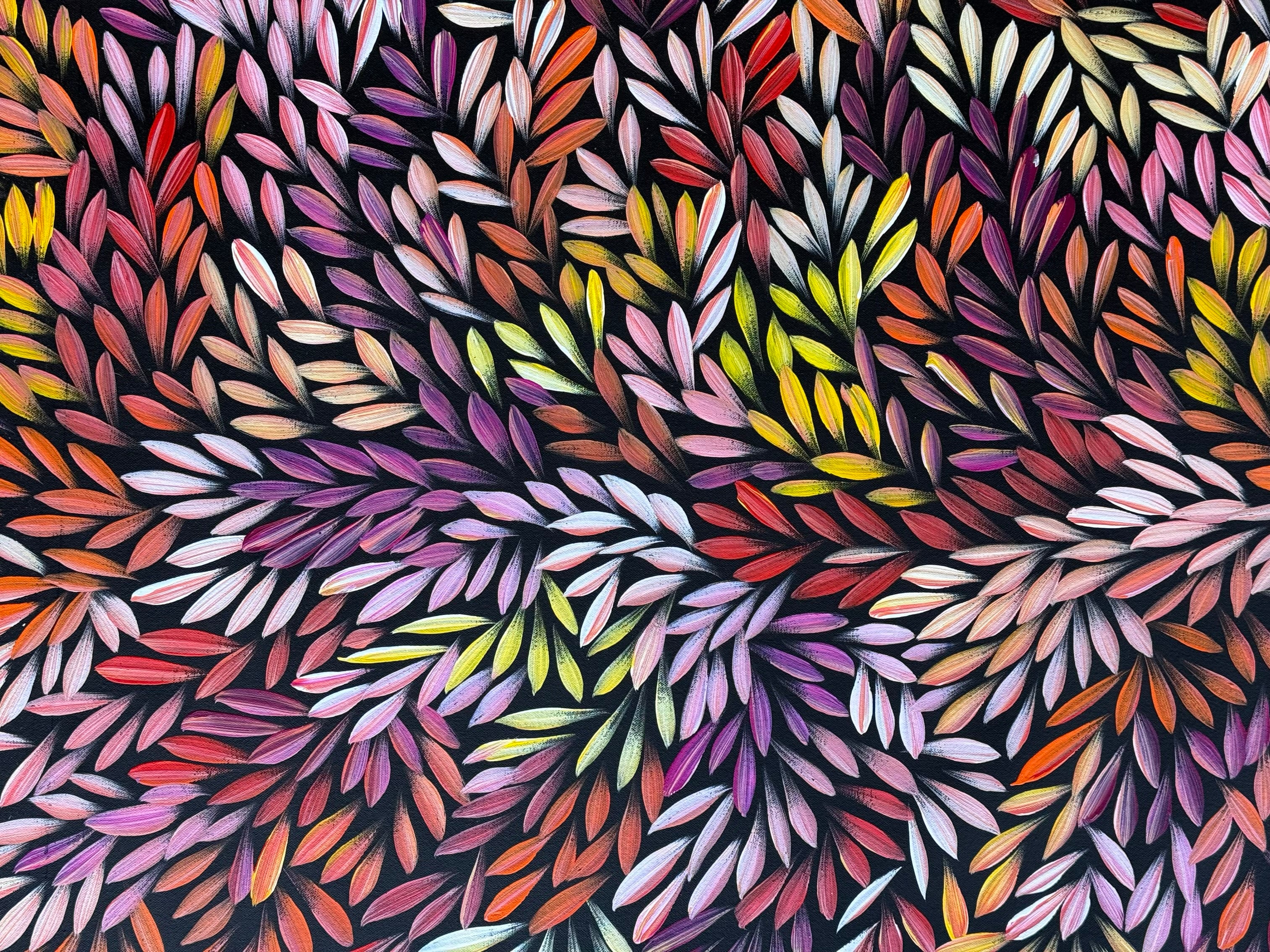 Sharon Numina - Bush Medicine Leaves .50-18