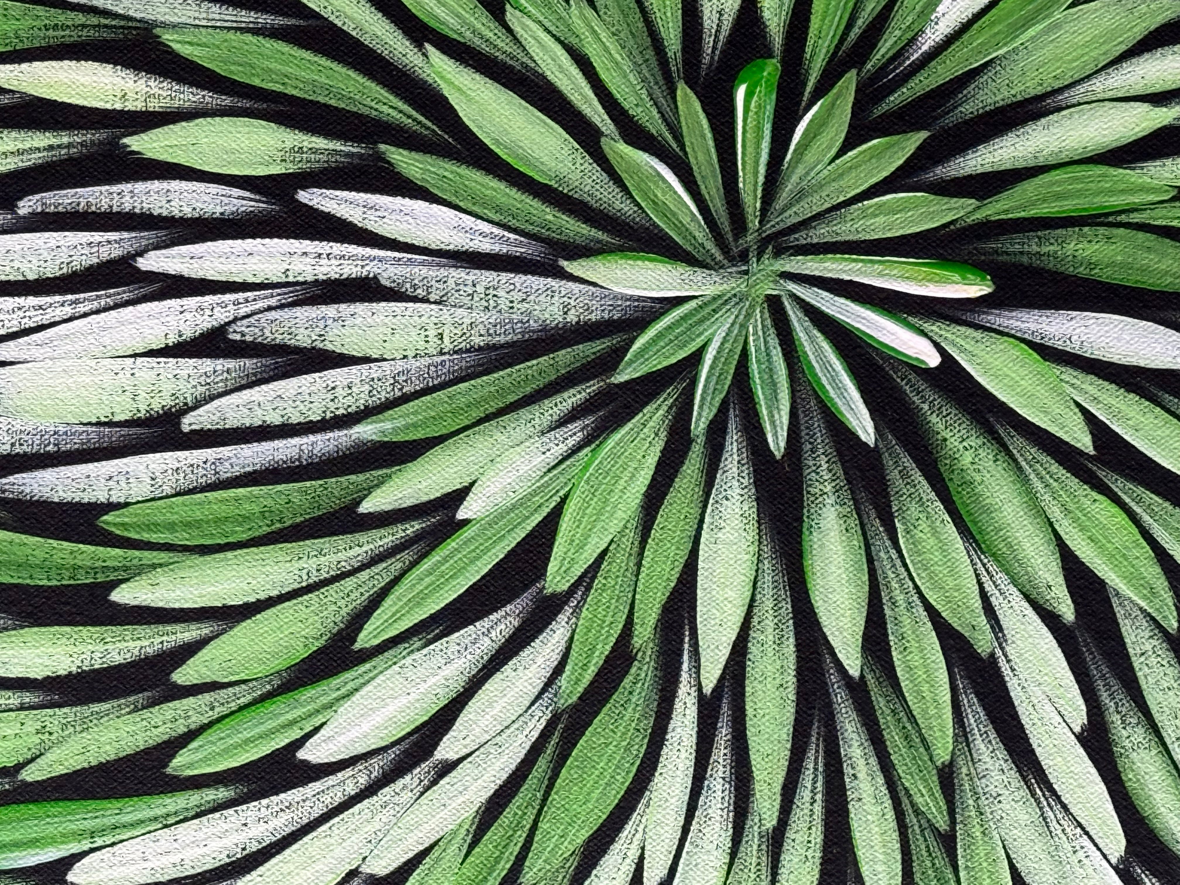 Sharon Numina - Bush Medicine Leaves .33-4