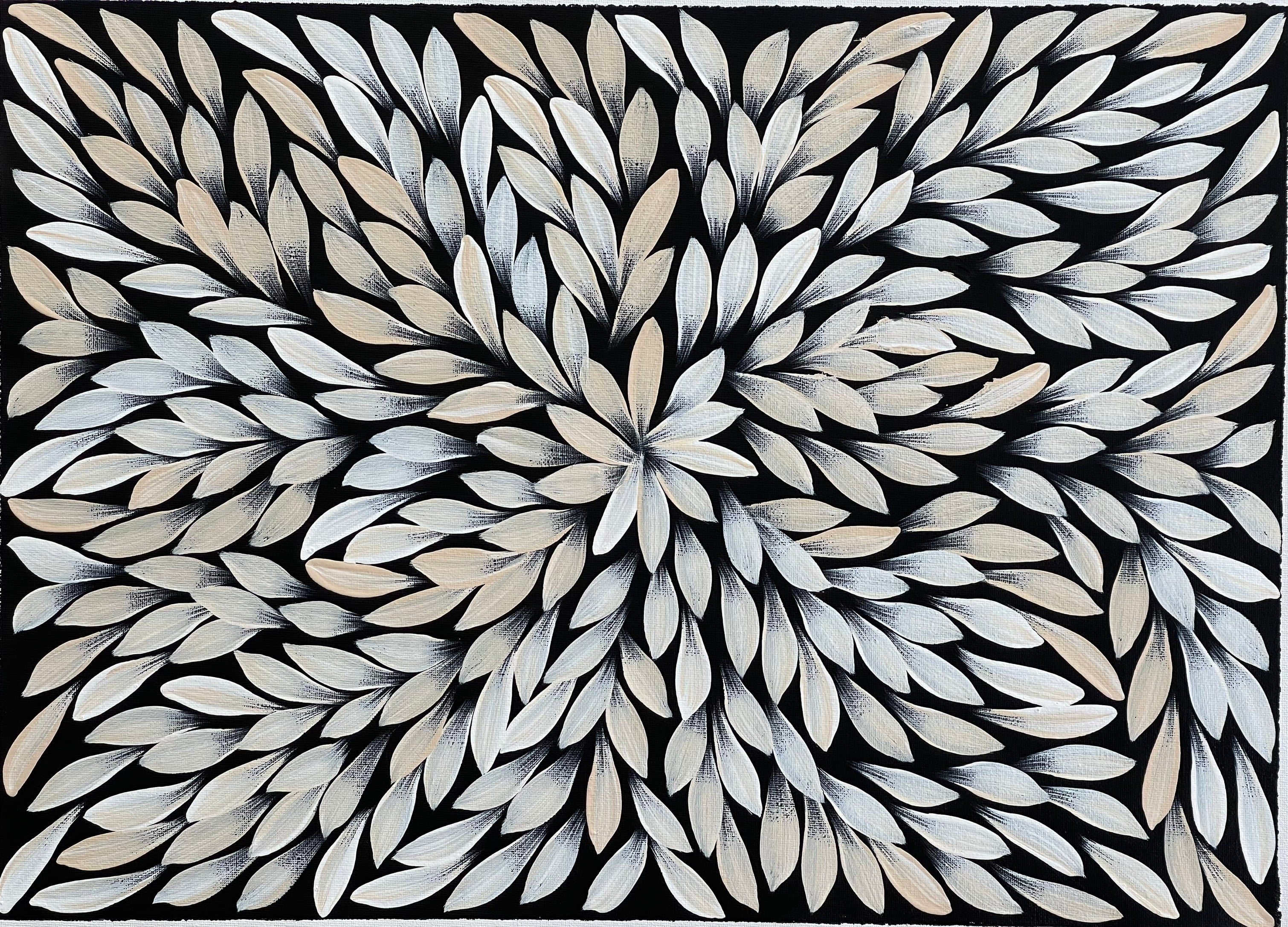 Jacinta Numina Waugh - Bush Medicine Leaves - 38x53cm .39-16