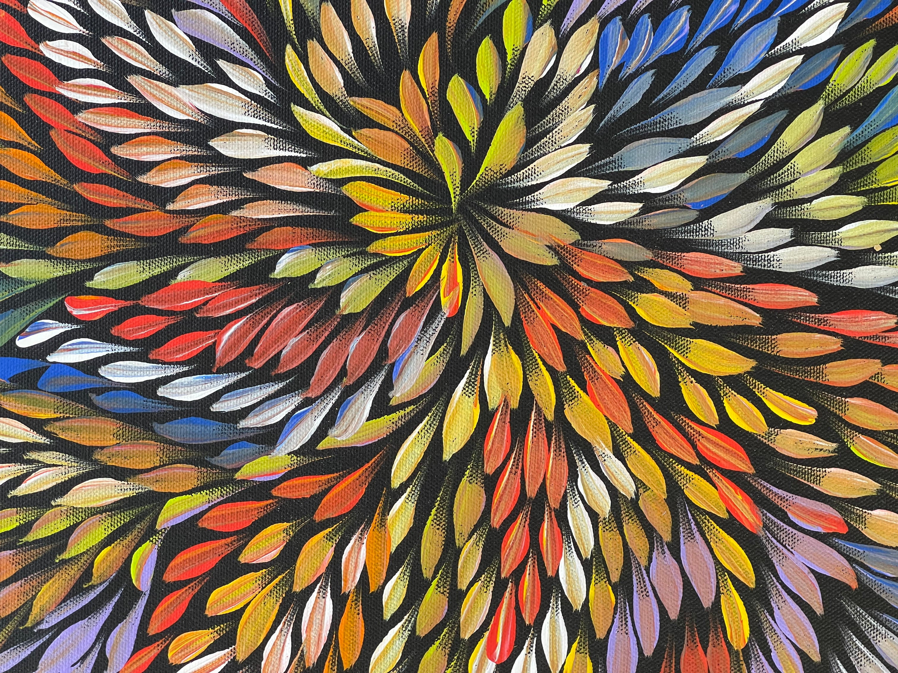 Caroline Numina - Bush Medicine Leaves .62-13