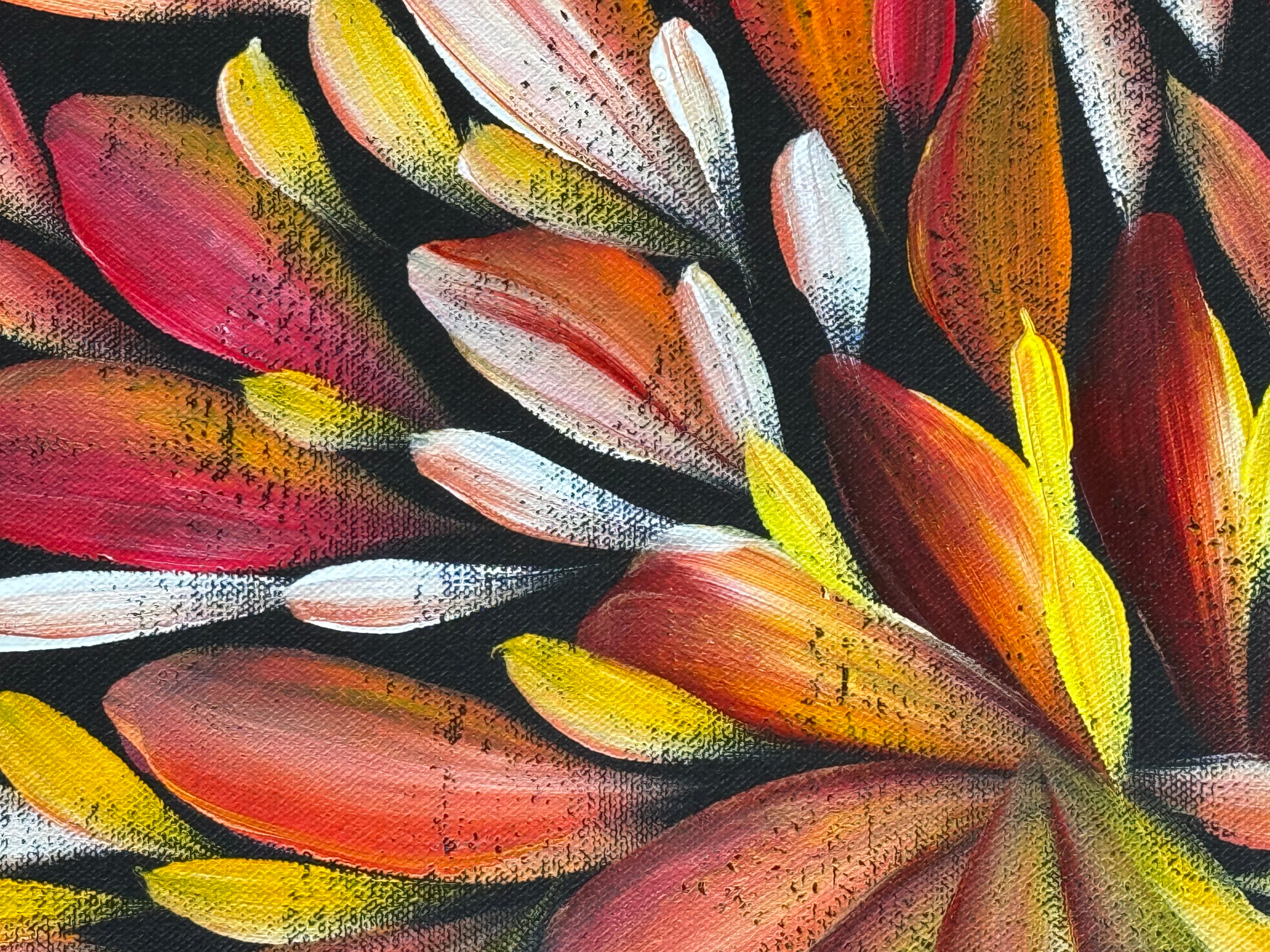 Louise Numina Napananka - Bush Medicine Leaves .24-12