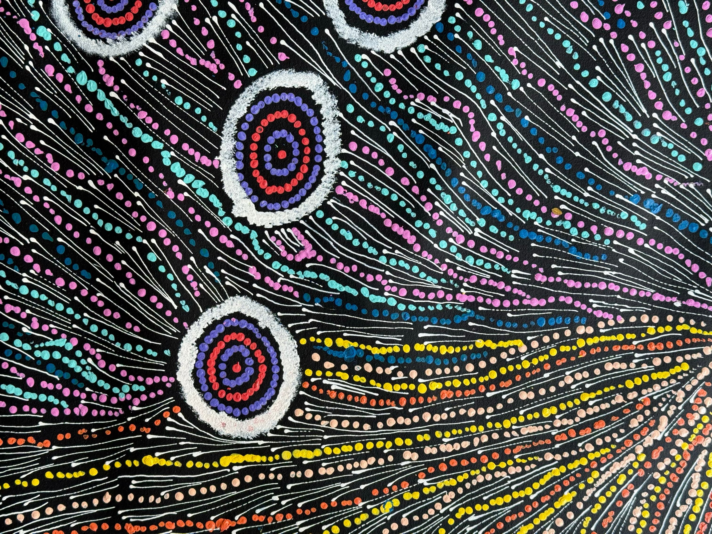 Maria Nampijinpa Brown - Seven Sisters Dreaming .71