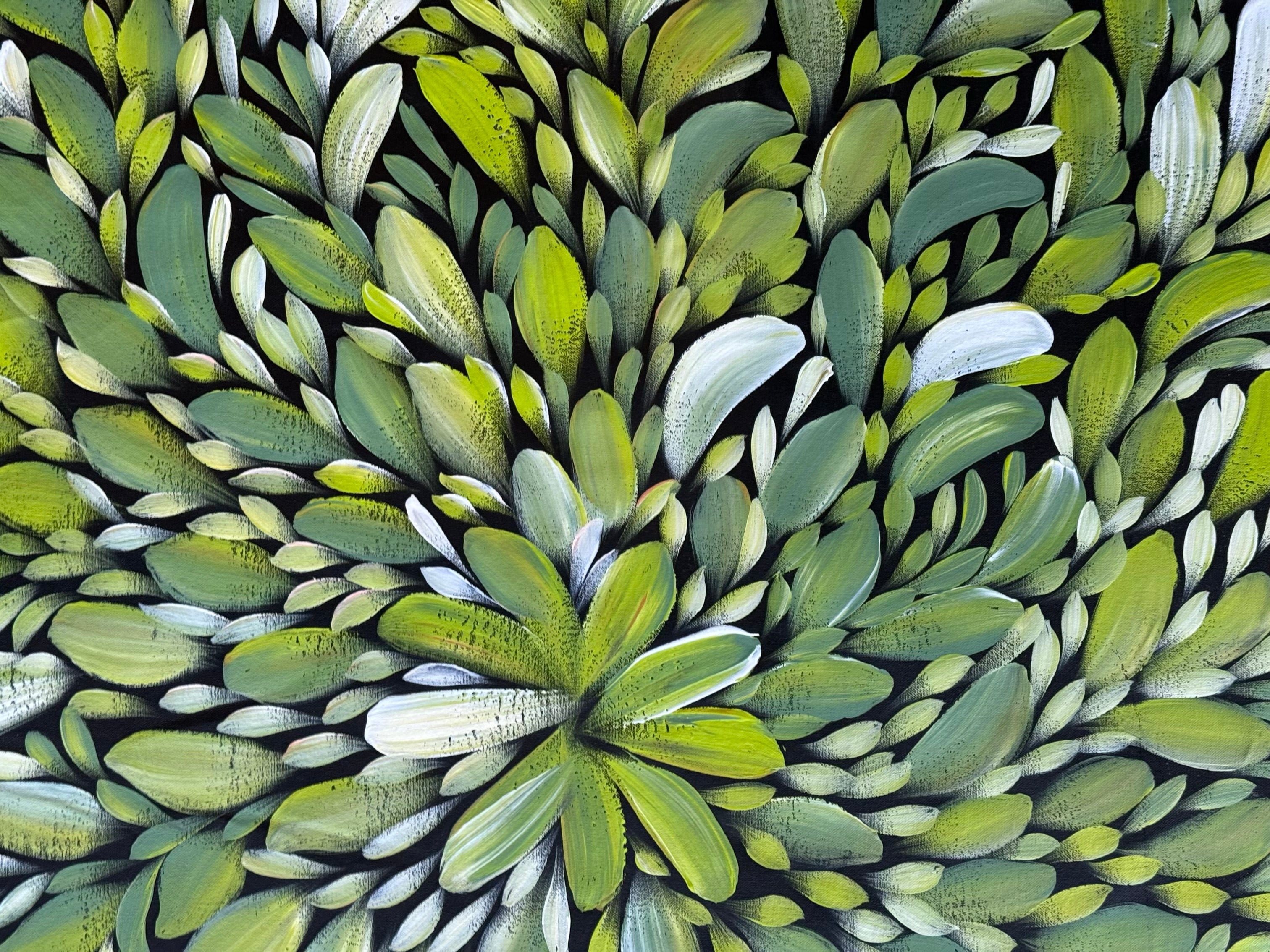 Louise Numina Napananka - Bush Medicine Leaves .49-8