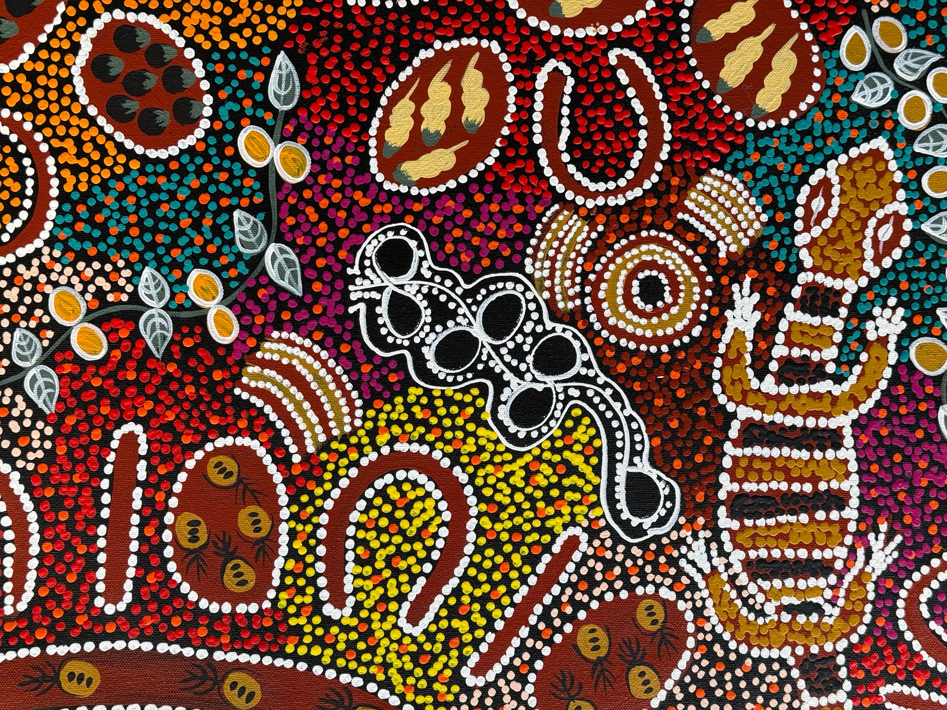 Lanita Numina - Women Collect Bushberries, Honeyants, Bush Plums, Sand Goannas .51-1