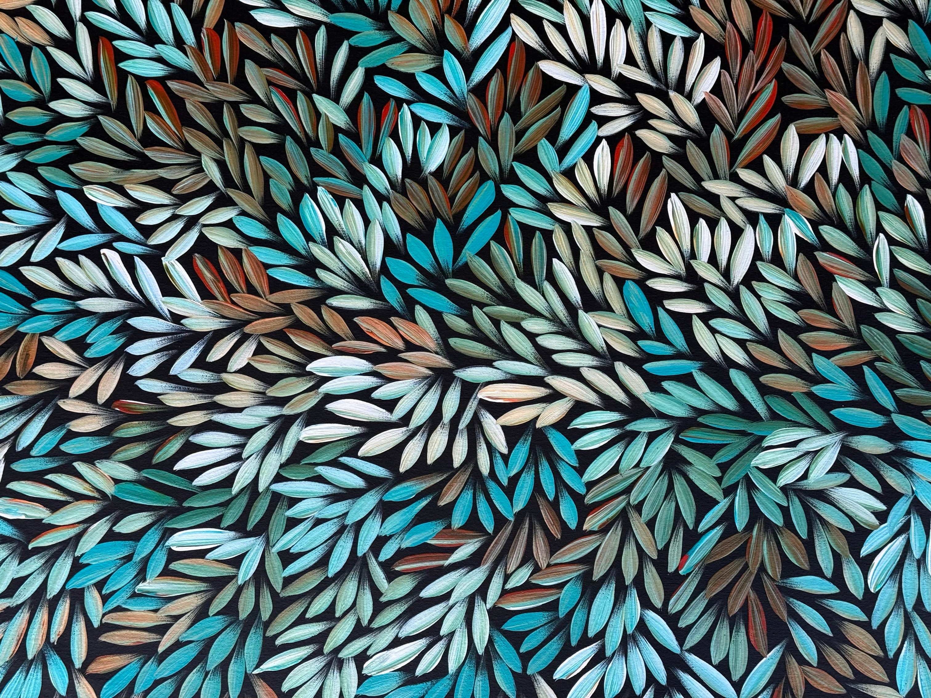Sharon Numina - Bush Medicine Leaves .50-12