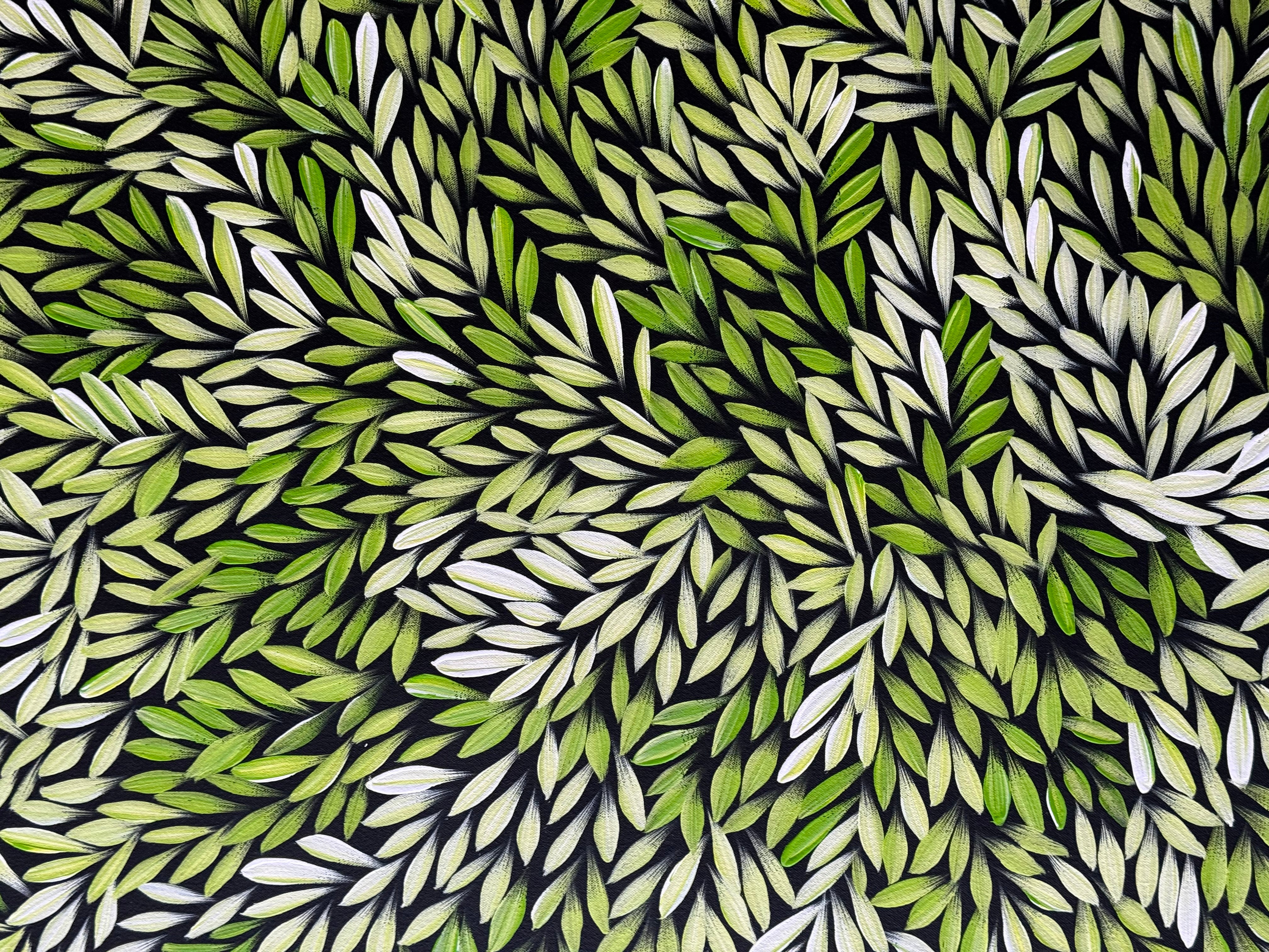 Sharon Numina - Bush Medicine Leaves .33-5