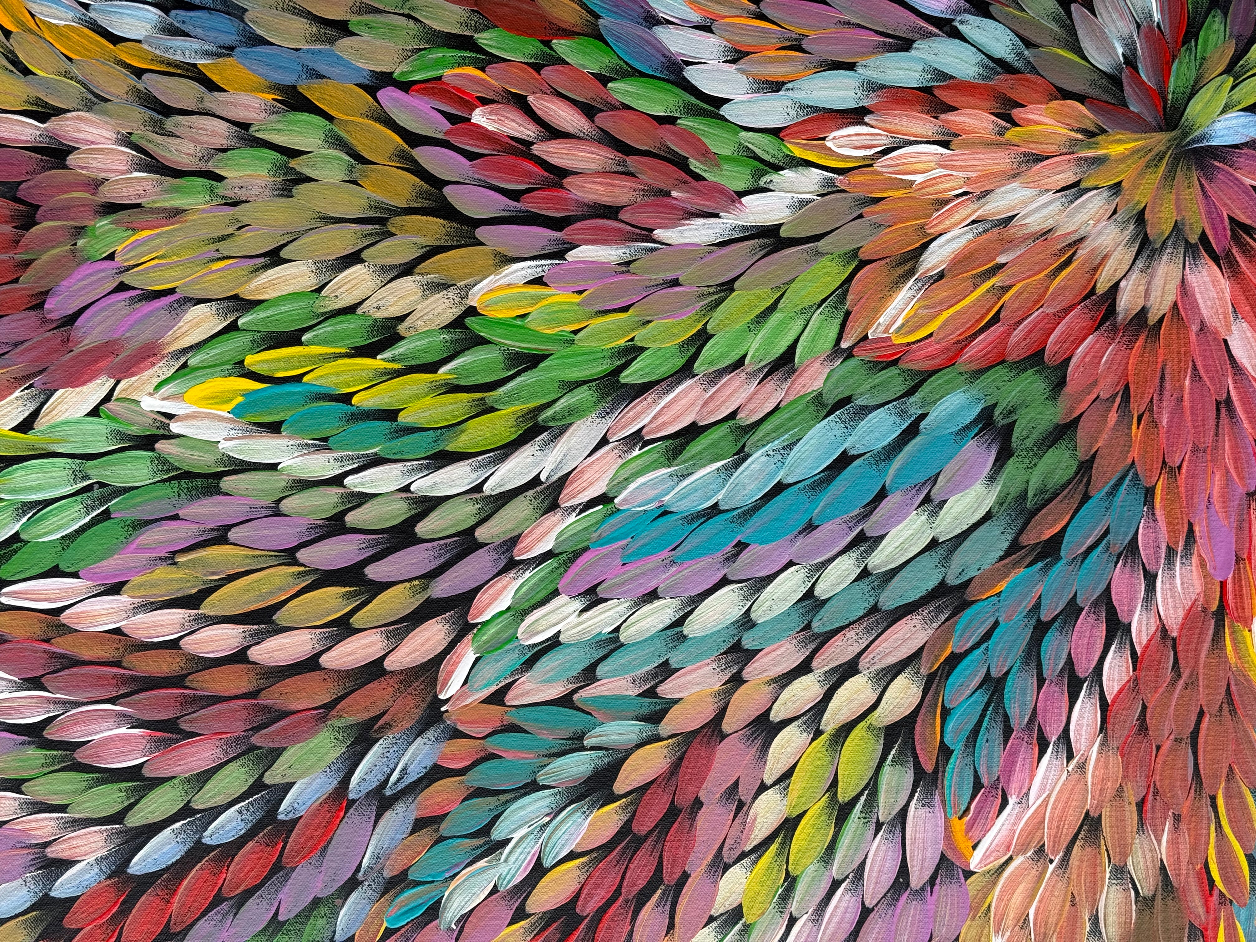 Caroline Numina - Bush Medicine Leaves .87-1