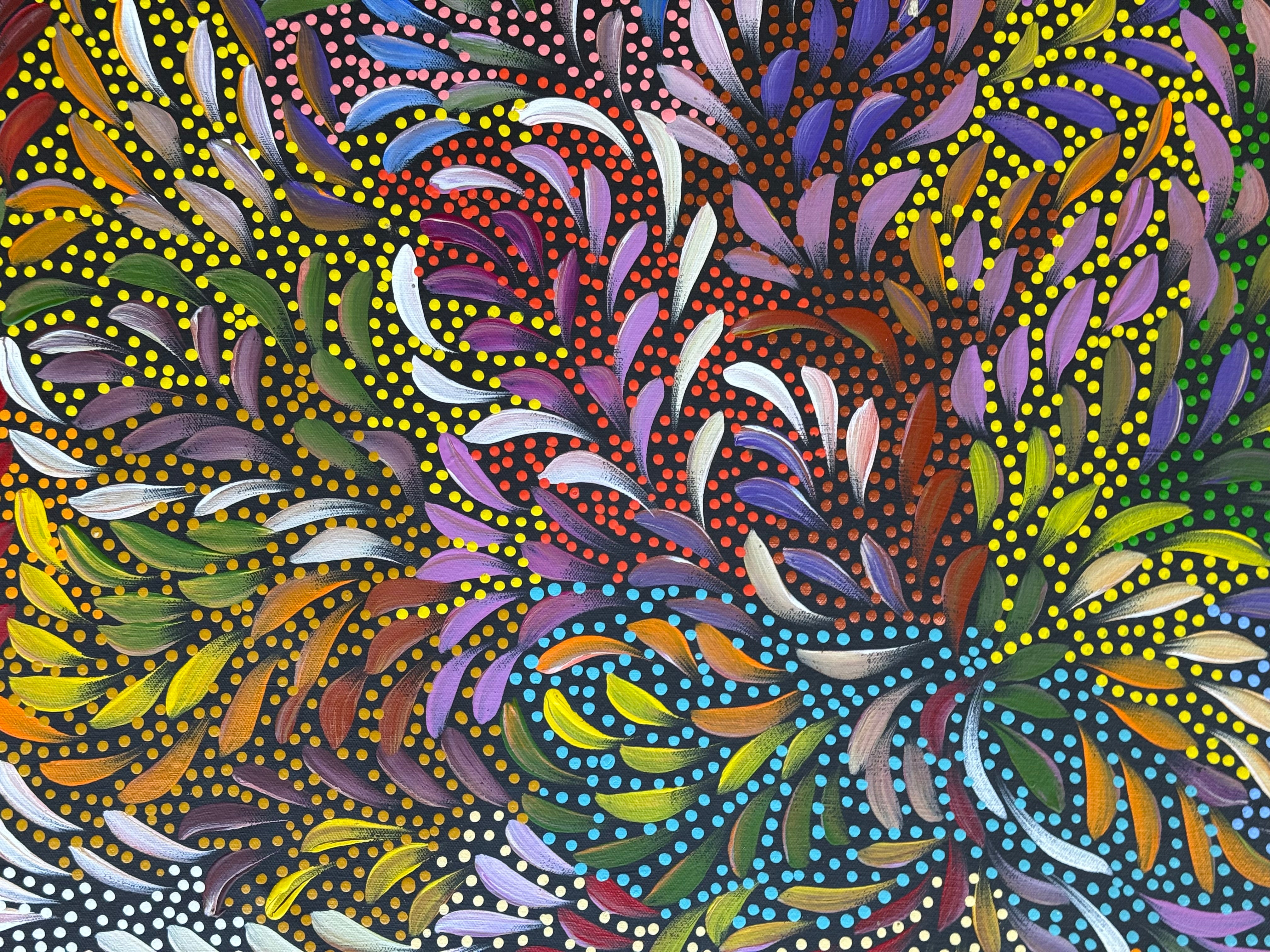 Caroline Numina - Bush Medicine Leaves .91-11