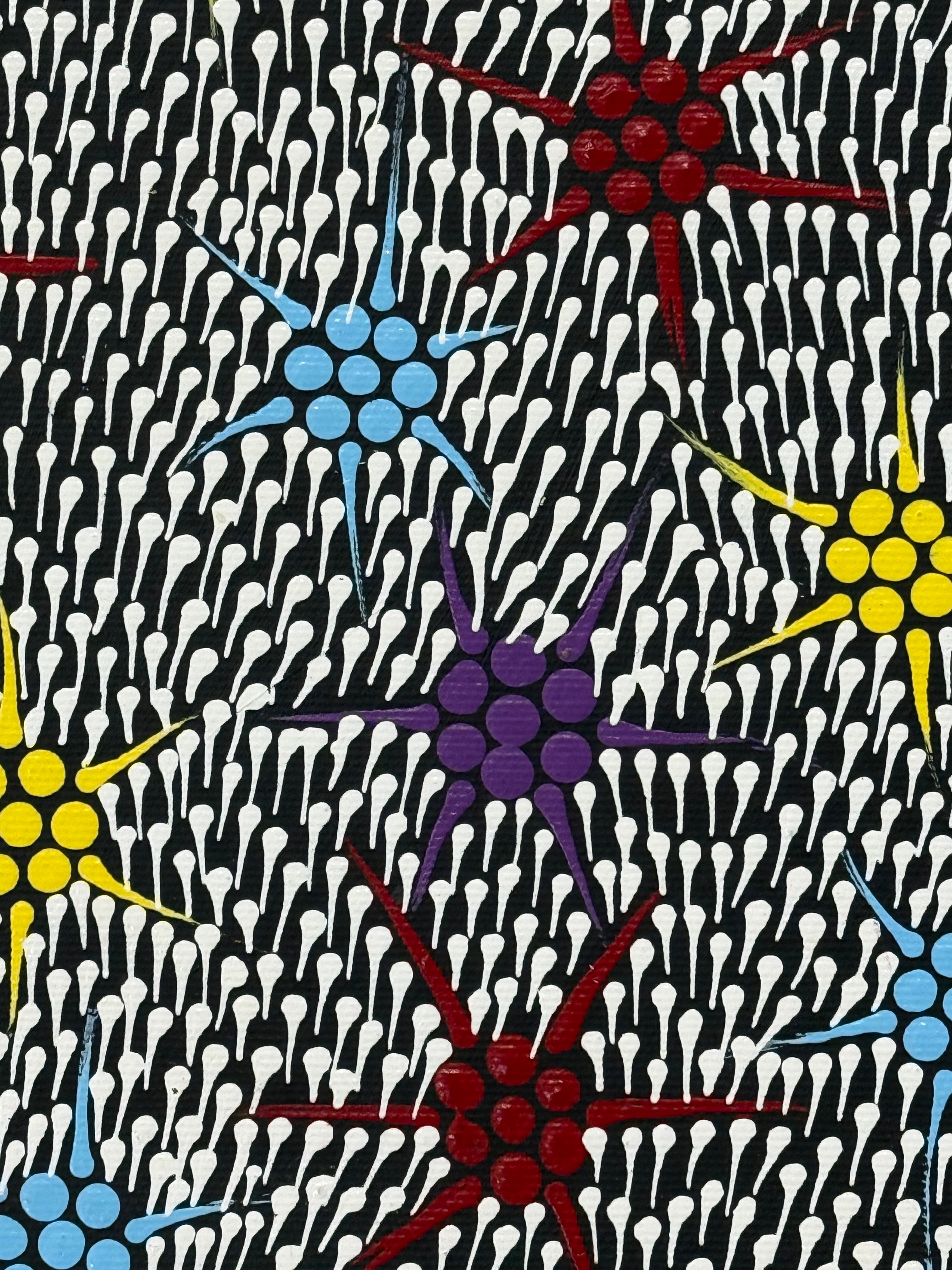 Sandra Napanangka Frank - Lukarrara Jukurrpa (Desert Fringe-Rush Seed Dreaming) - Stretched