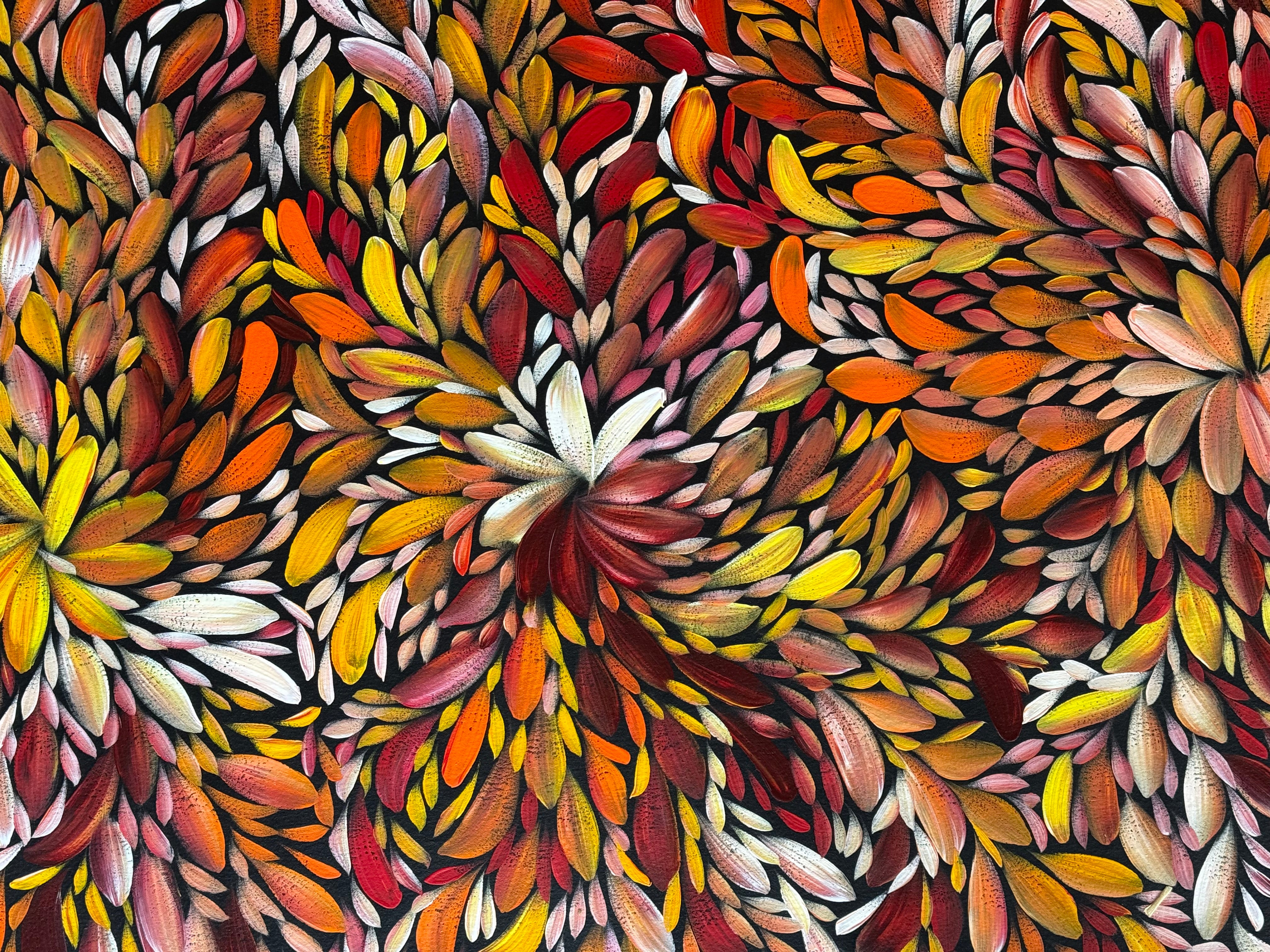 Louise Numina Napananka - Bush Medicine Leaves .24-3