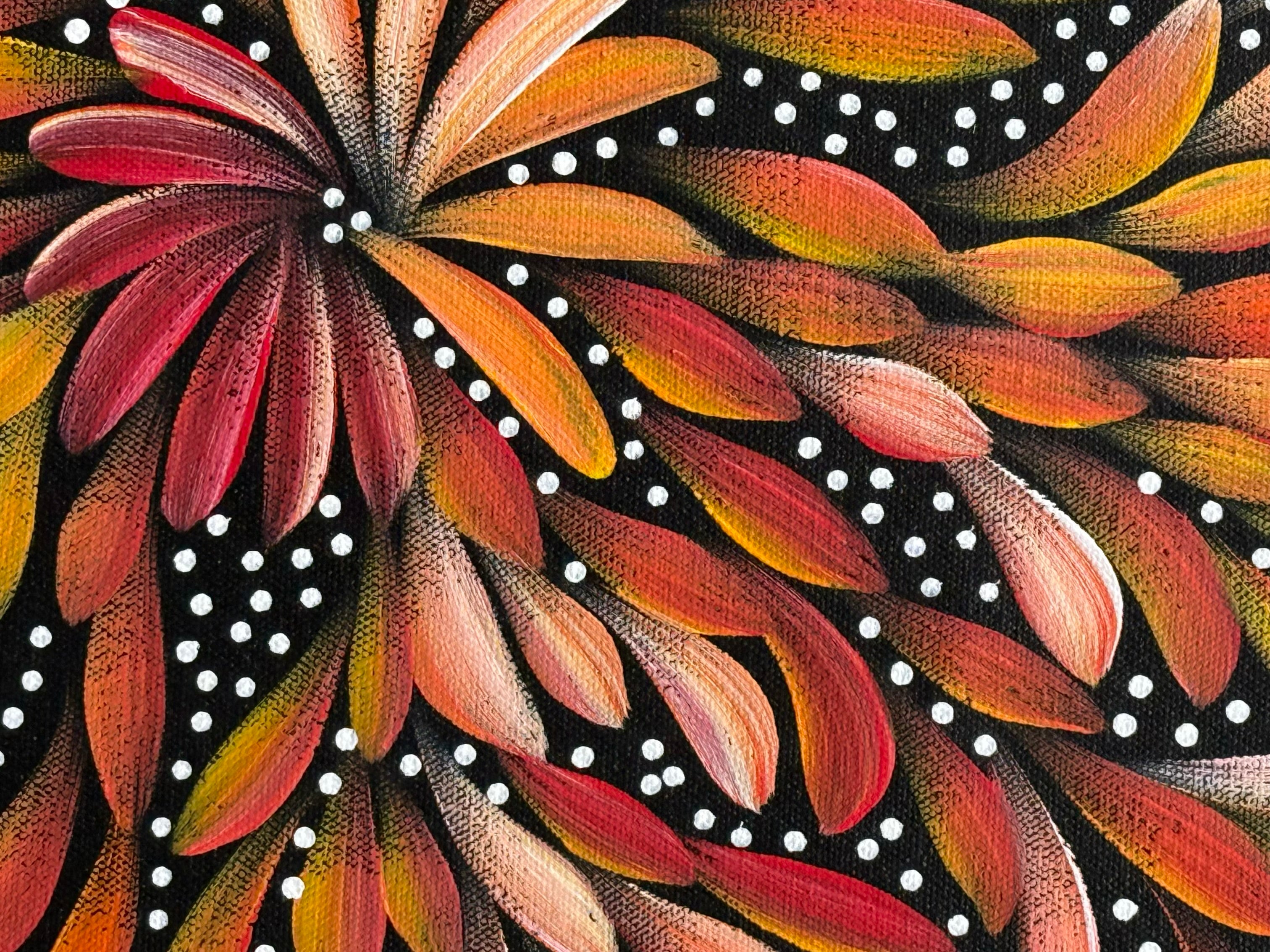 Louise Numina Napananka - Bush Medicine Leaves and Seeds .60-16