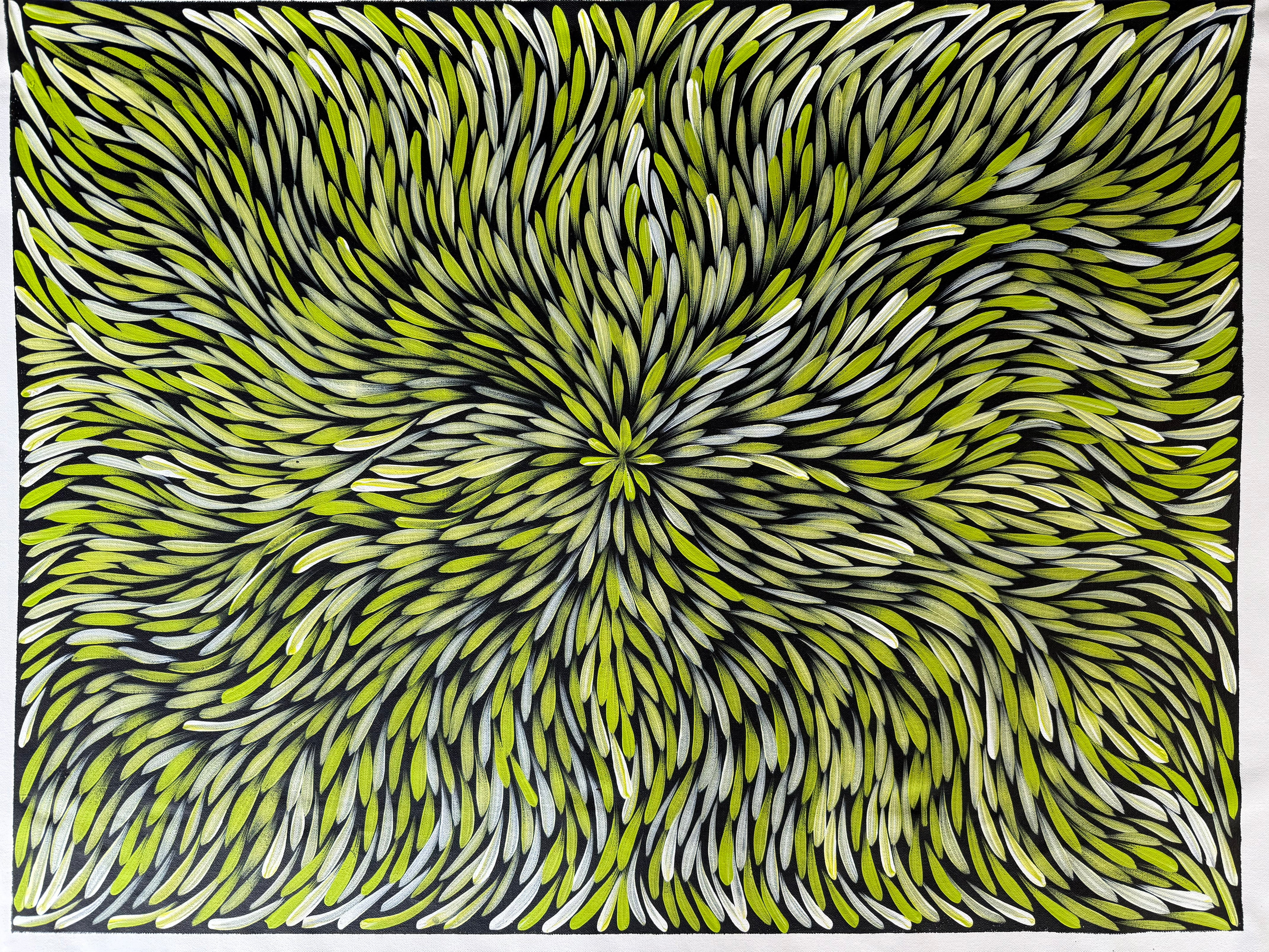 Sharon Numina - Bush Medicine Leaves - 69x92cm .14-23
