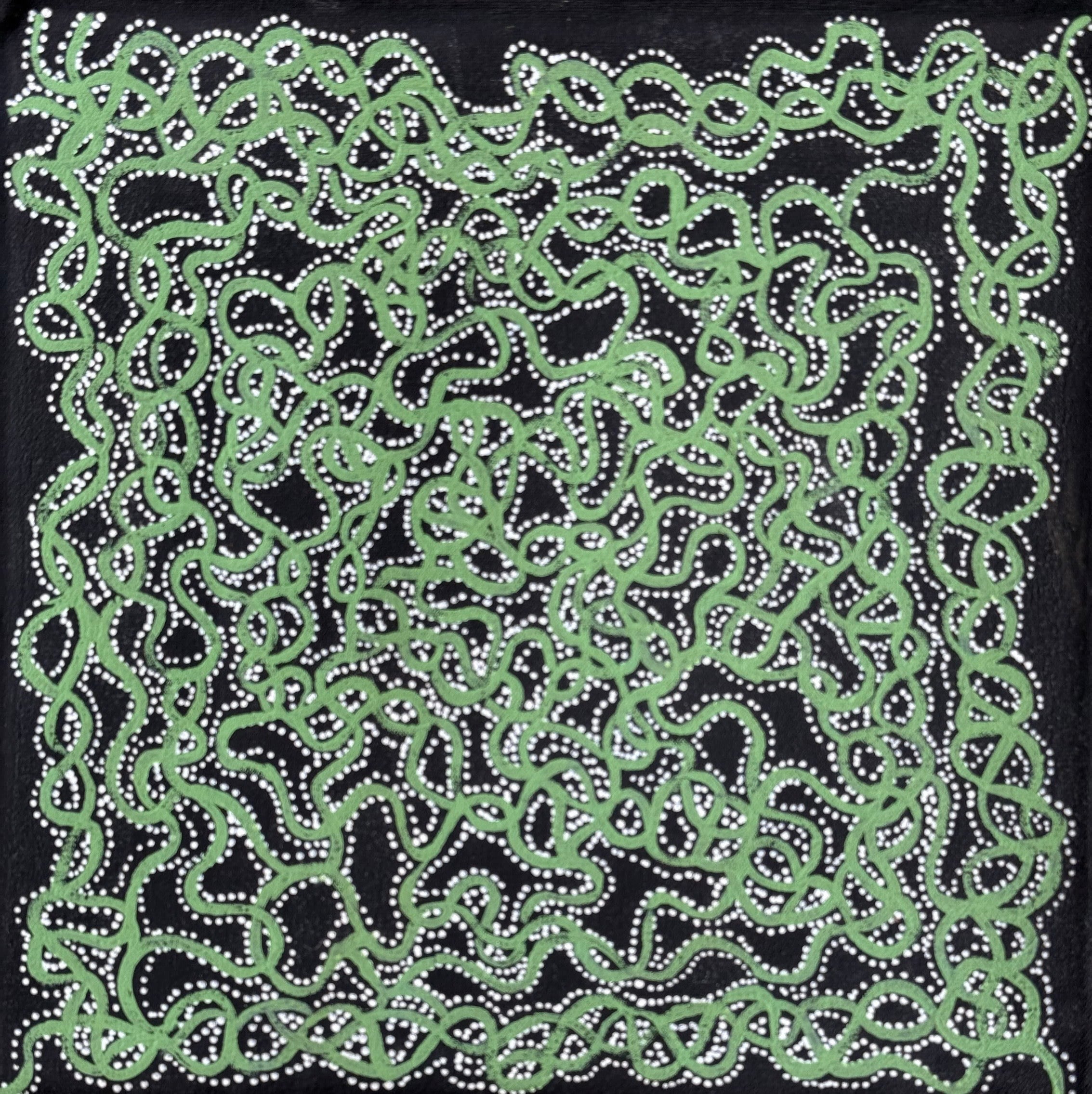 Geraldine Napangardi Granites - Ngalyipi Jukurrpa (Snakevine Dreaming) Mina Mina