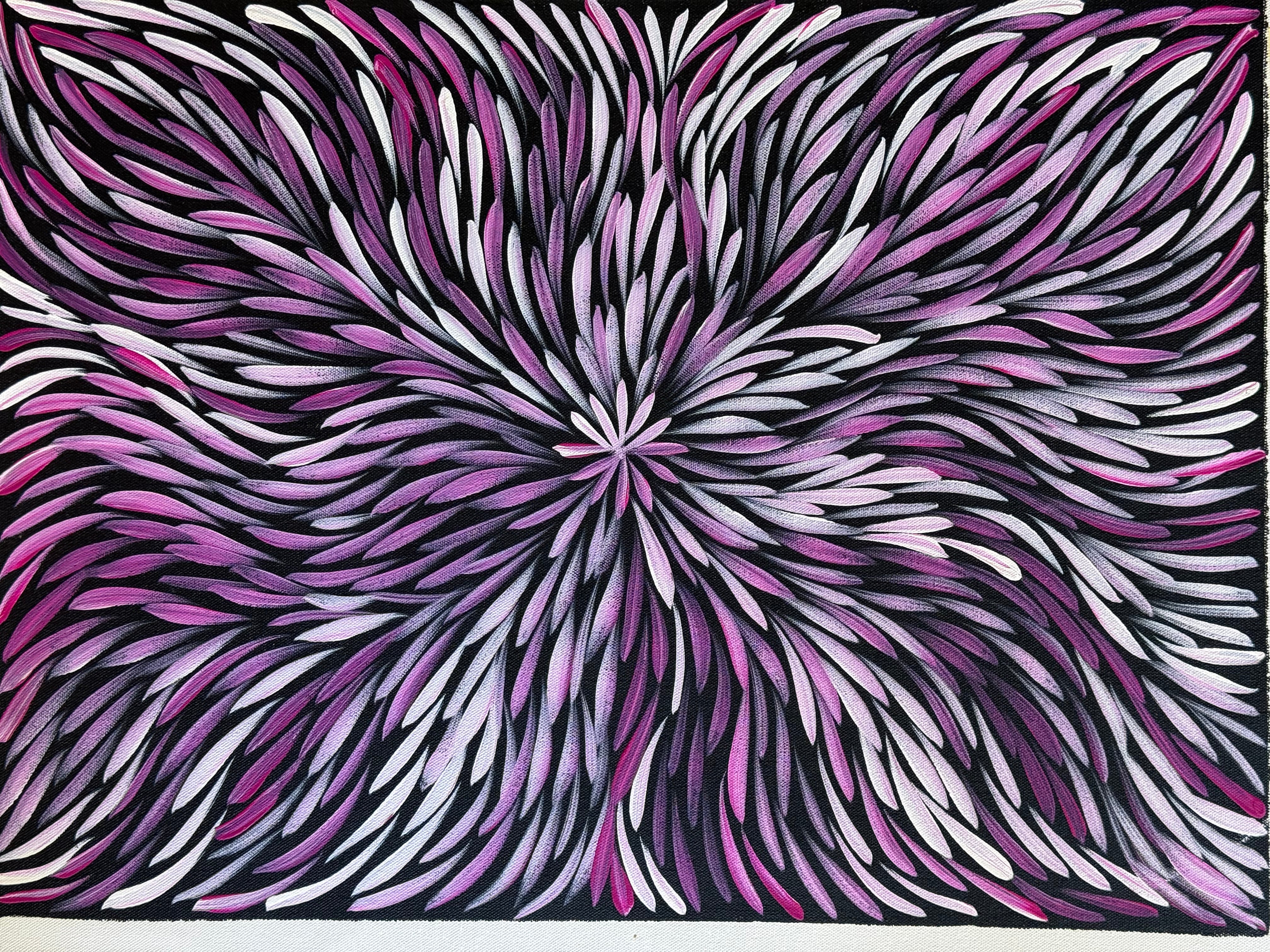 Sharon Numina - Bush Medicine Leaves .14-18