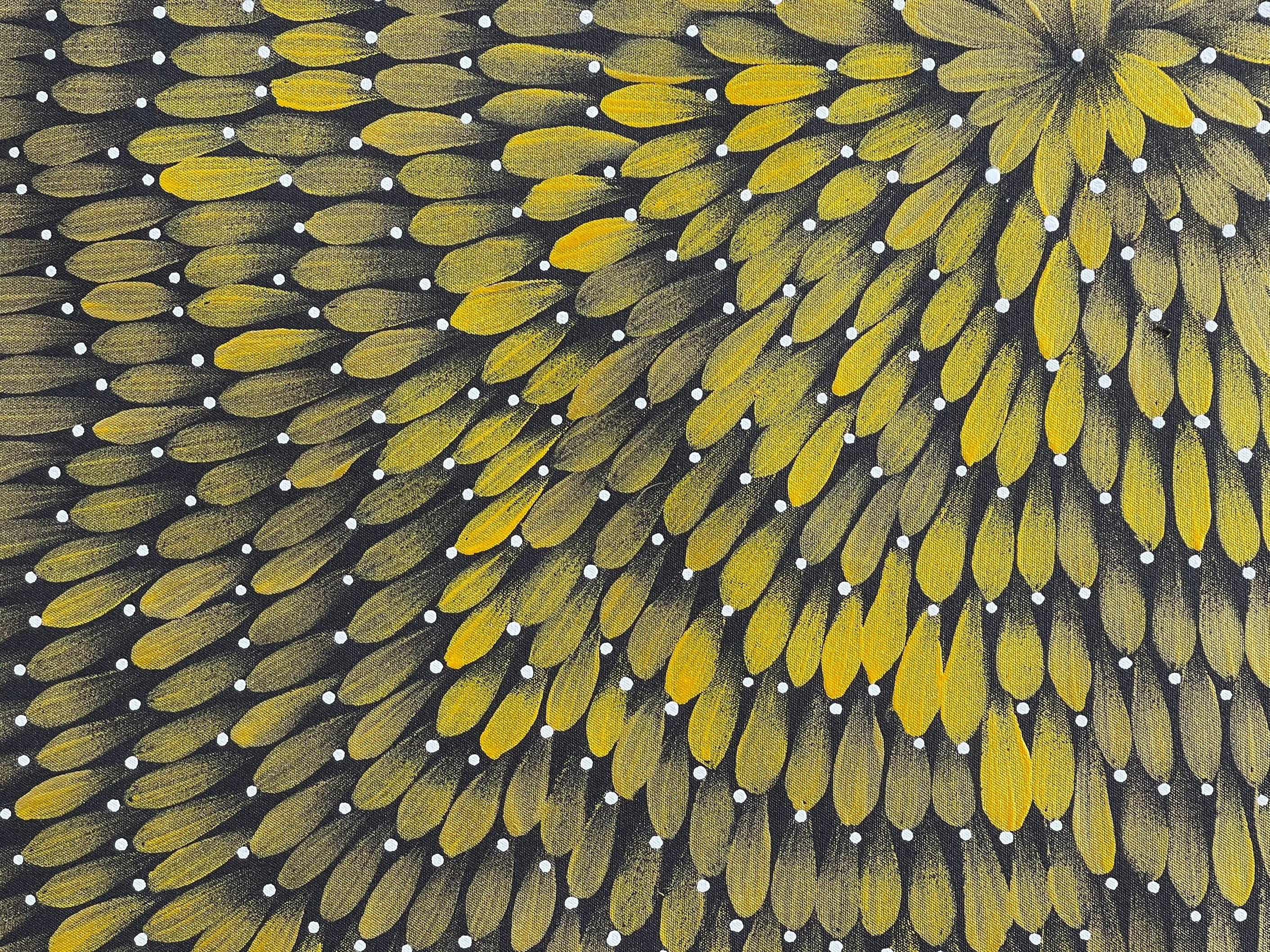 Maryanne Gibson - Bush Medicine .24-3