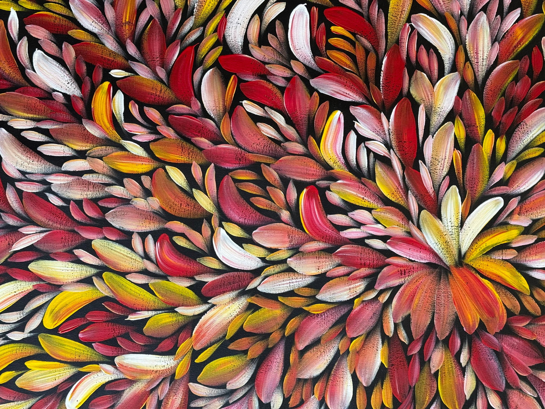 Louise Numina Napananka - Bush Medicine Leaves - 121x93cm .00-13