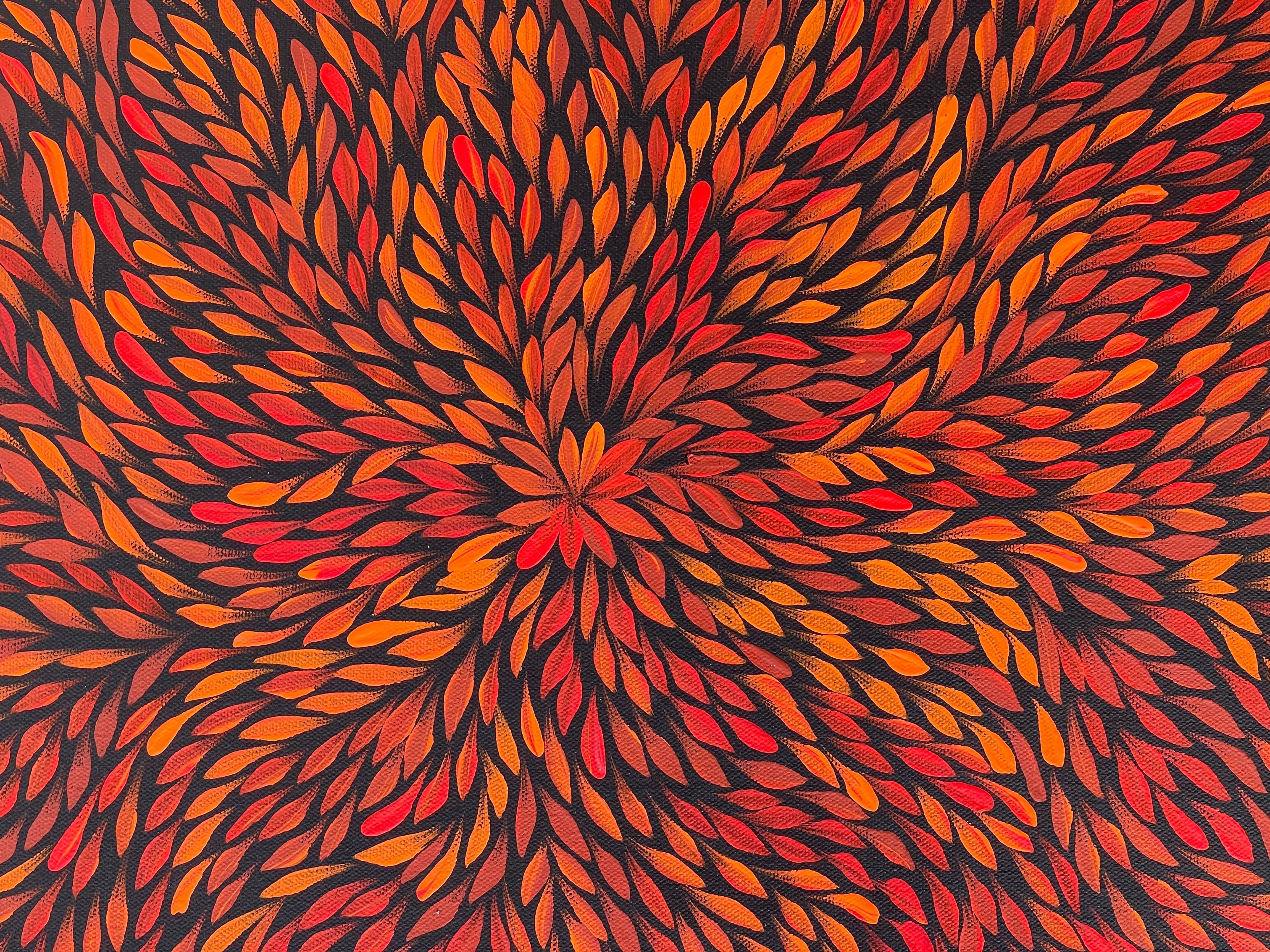 Sharon Turner - Bush Medicine Leaves - 53x38 .33-5
