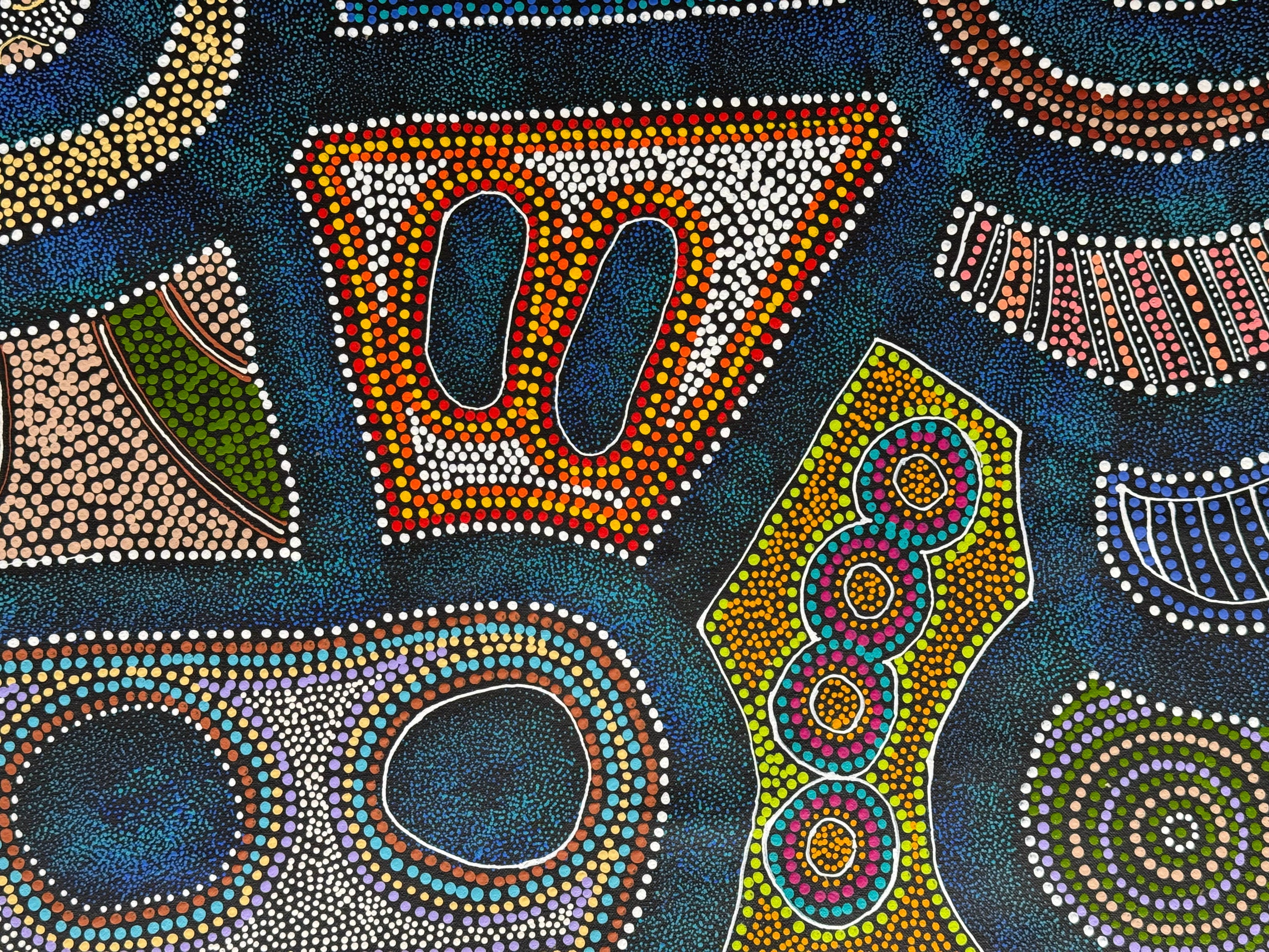 Sharon Turner - Thorny Lizard Dreaming - 168x97cm .06