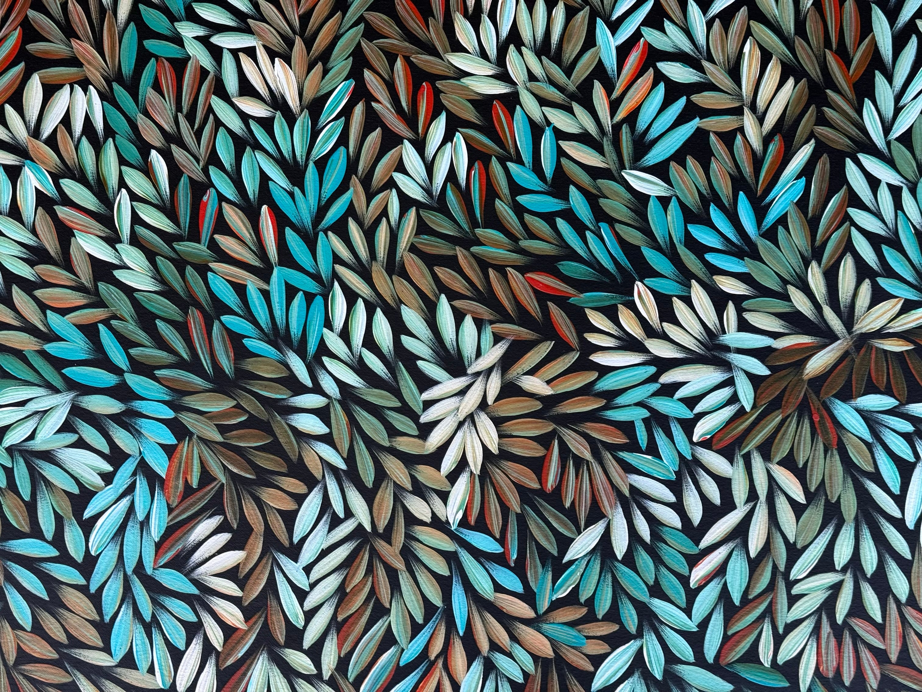 Sharon Numina - Bush Medicine Leaves .50-12