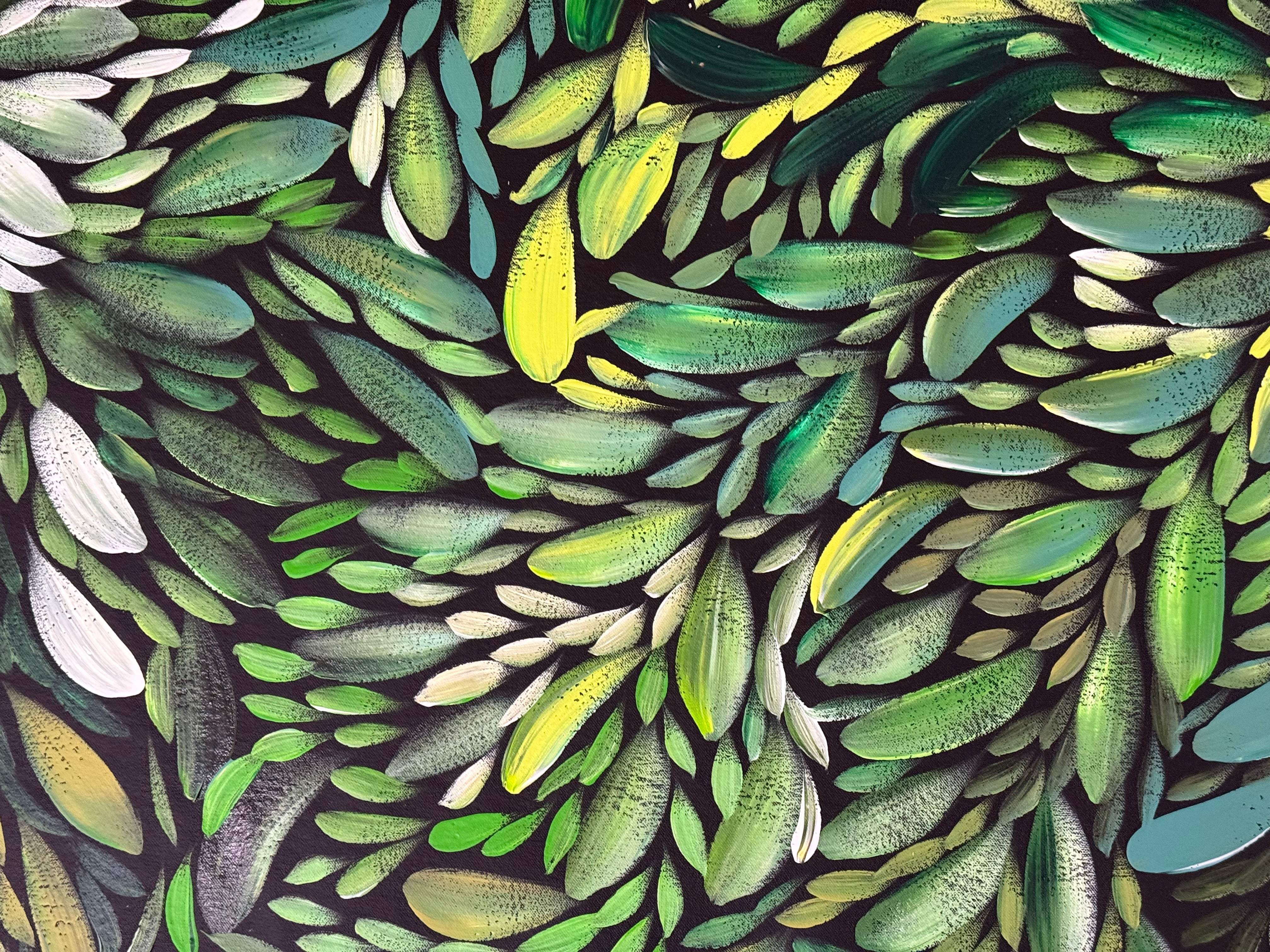Louise Numina Napananka - Bush Medicine Leaves .22-19