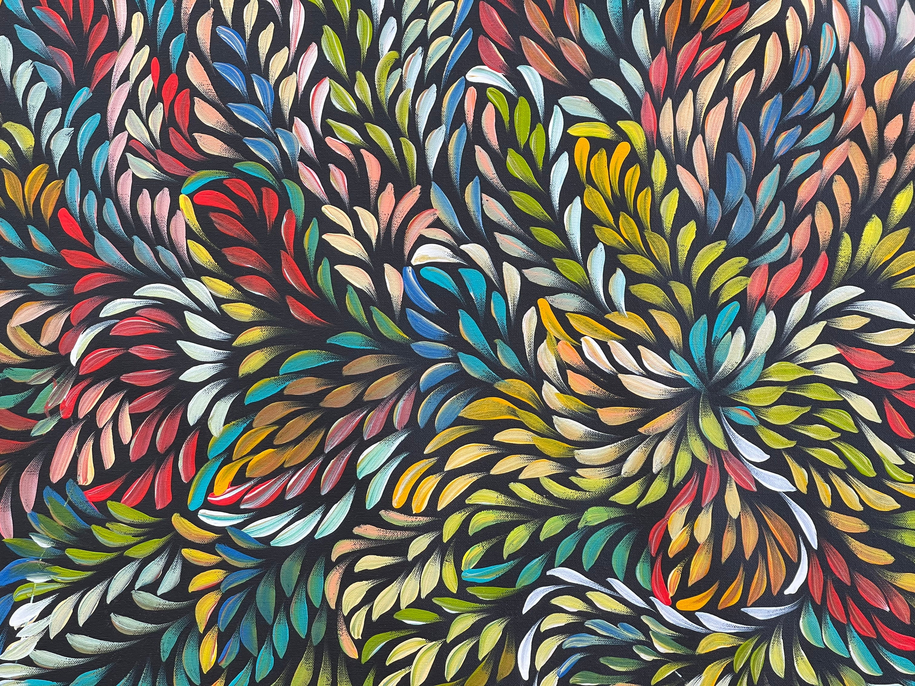 Caroline Numina - Bush Medicine Leaves .31-11