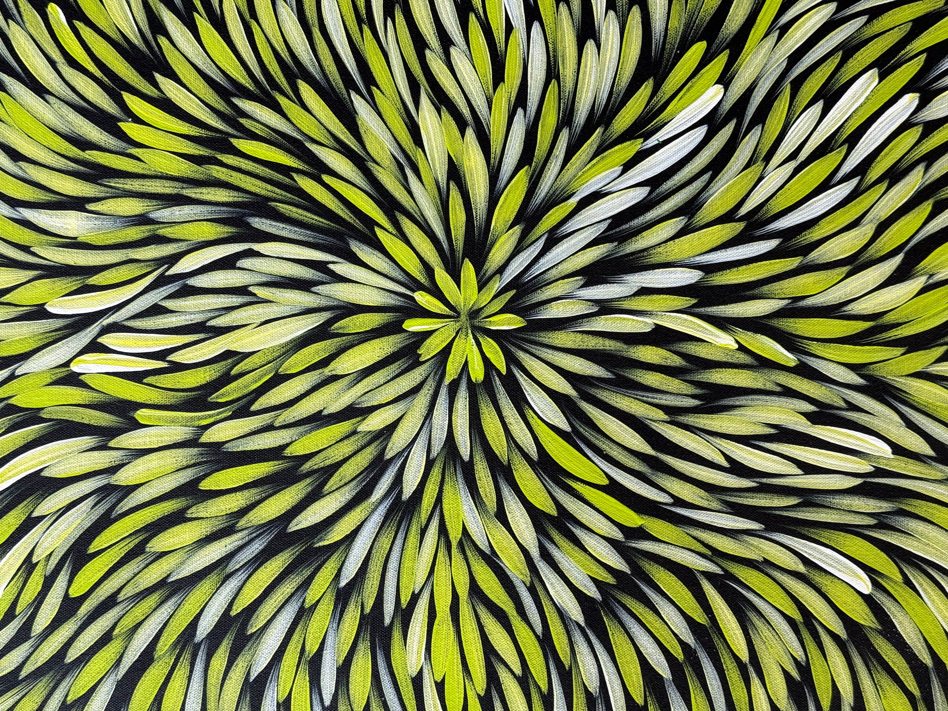 Sharon Numina - Bush Medicine Leaves - 69x92cm .14-23