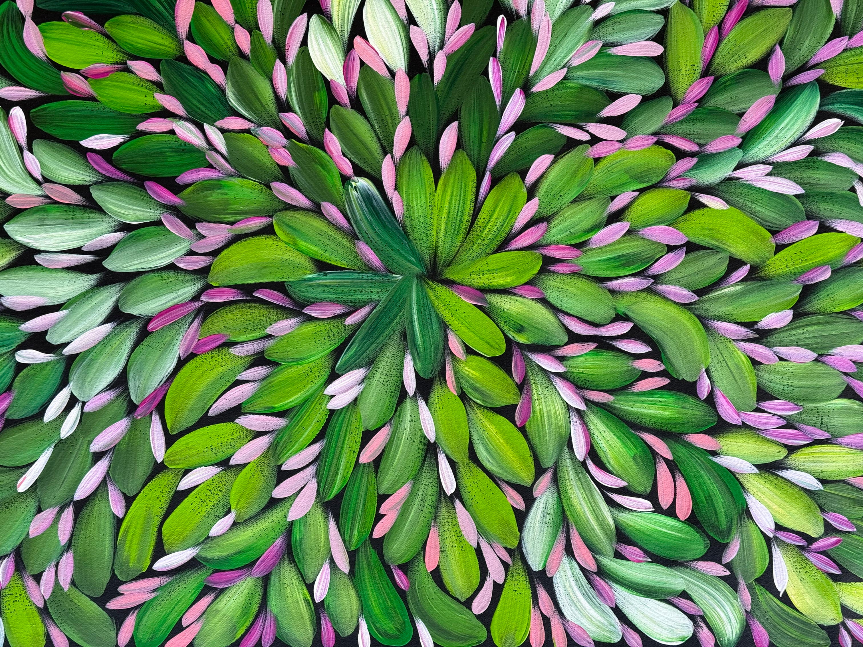 Louise Numina Napananka - Bush Medicine Leaves .23-15