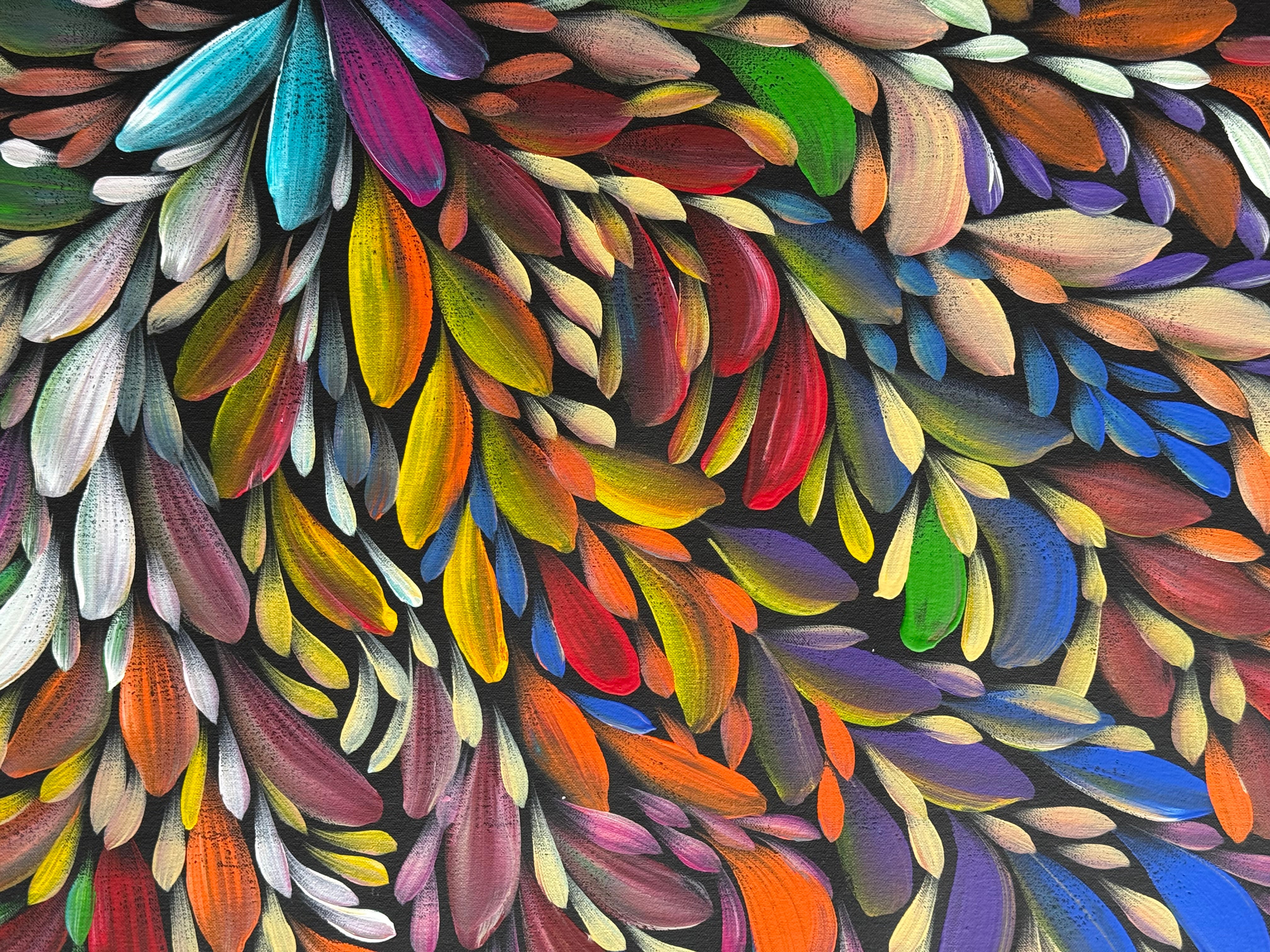 Louise Numina Napananka - Bush Medicine Leaves .75-22 - DAMAGED
