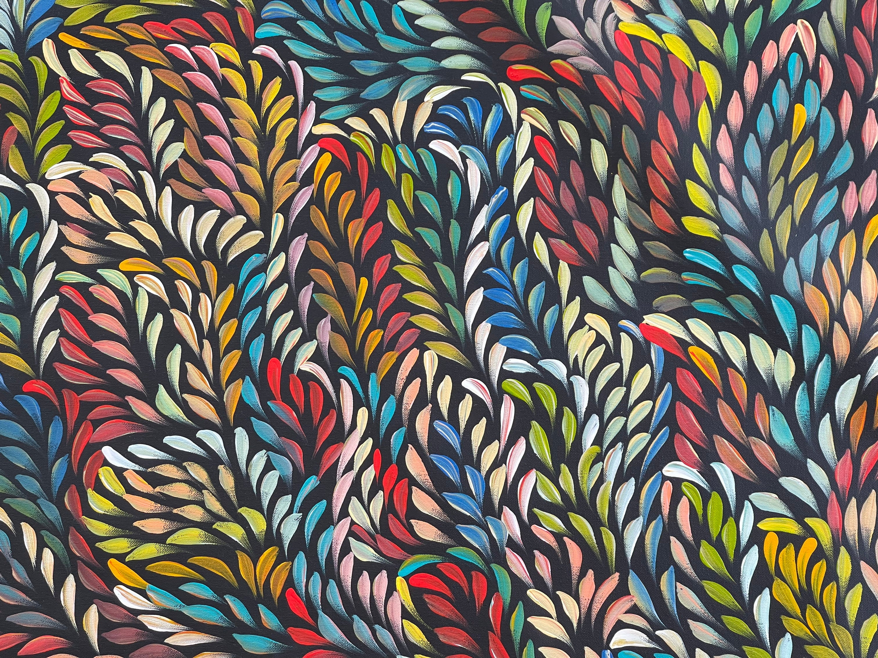 Caroline Numina - Bush Medicine Leaves .31-11