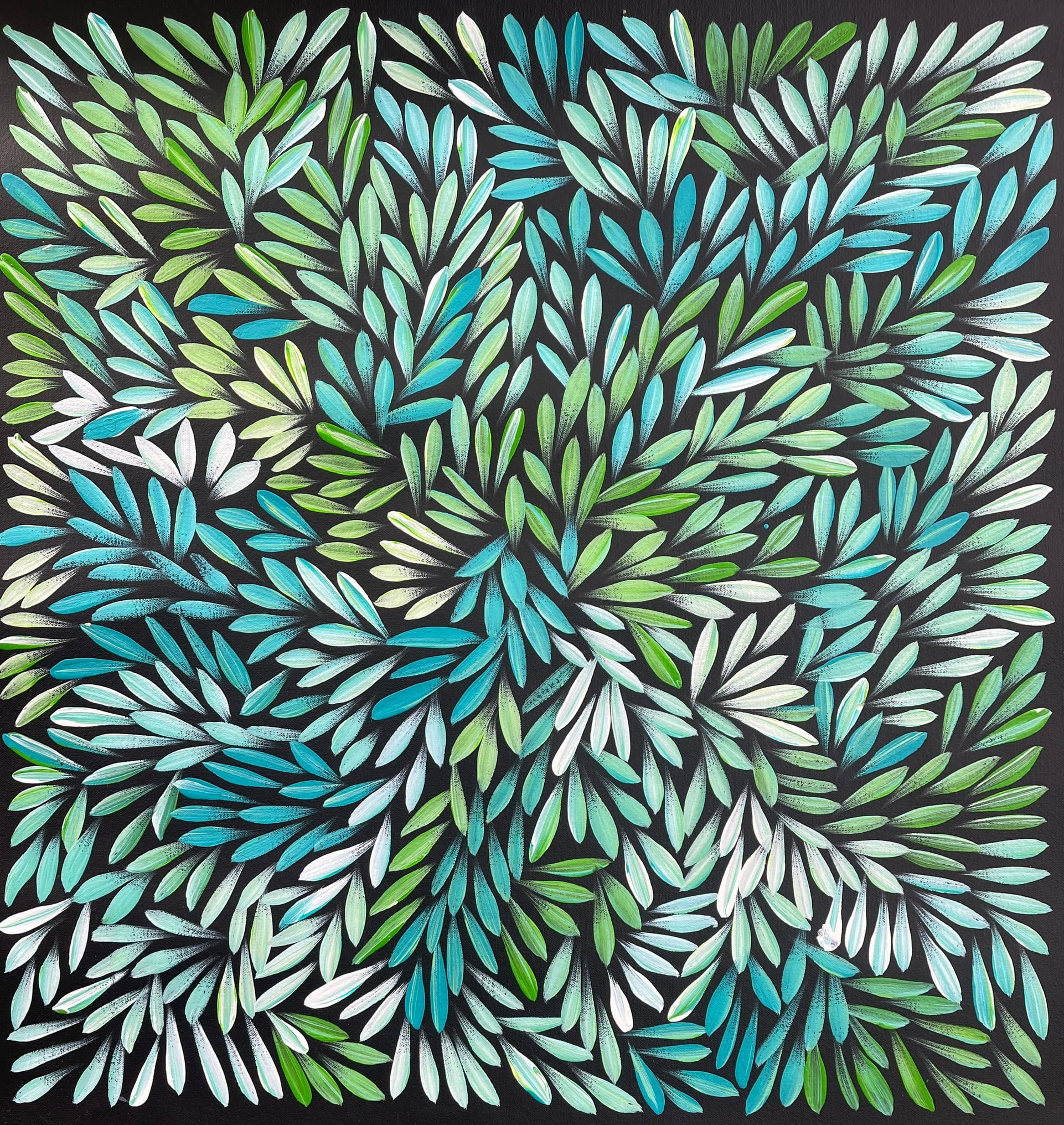 Sharon Numina - Bush Medicine Leaves - 56x58cm .28-9