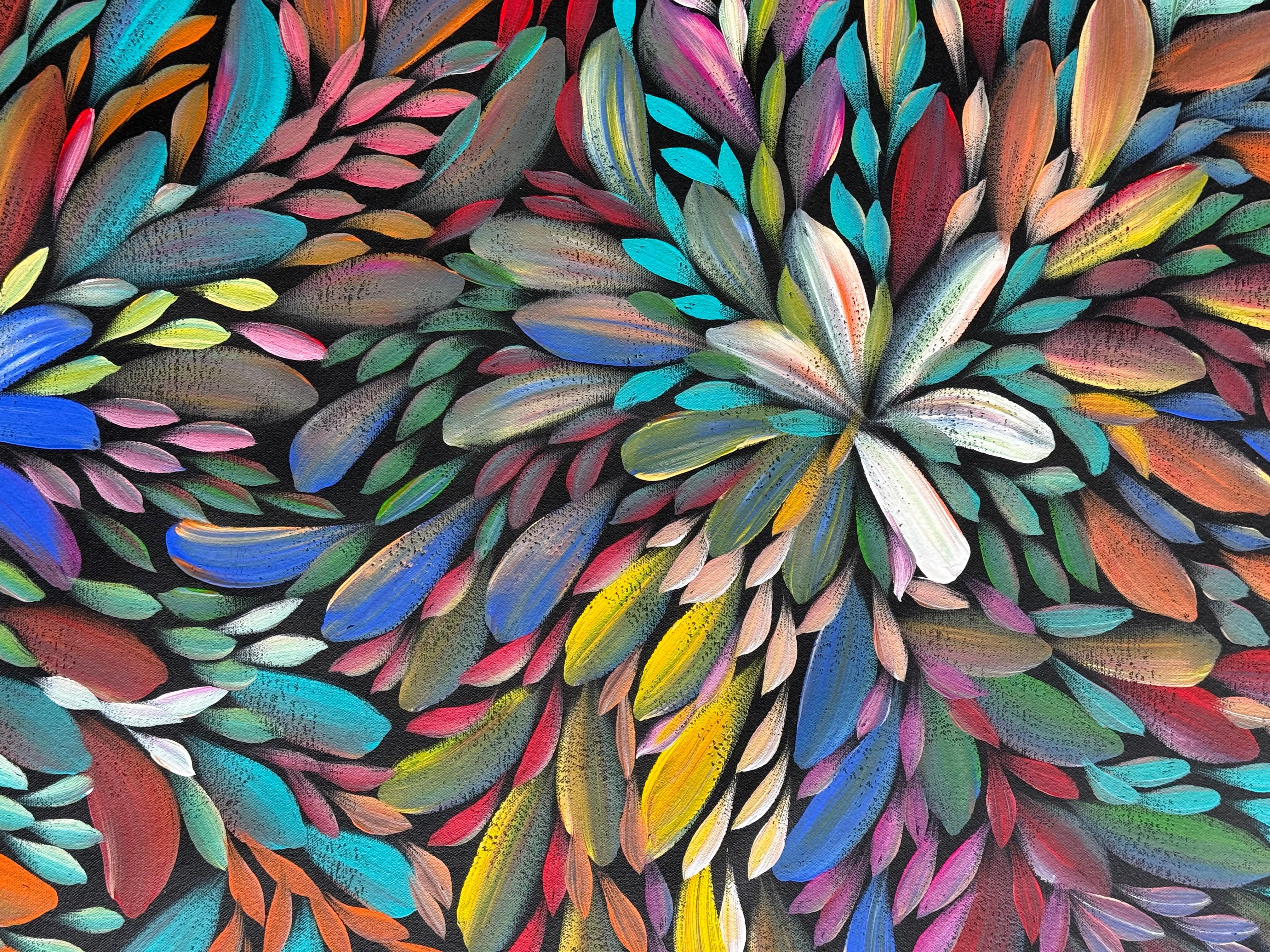 Louise Numina Napananka - Bush Medicine Leaves .09-5