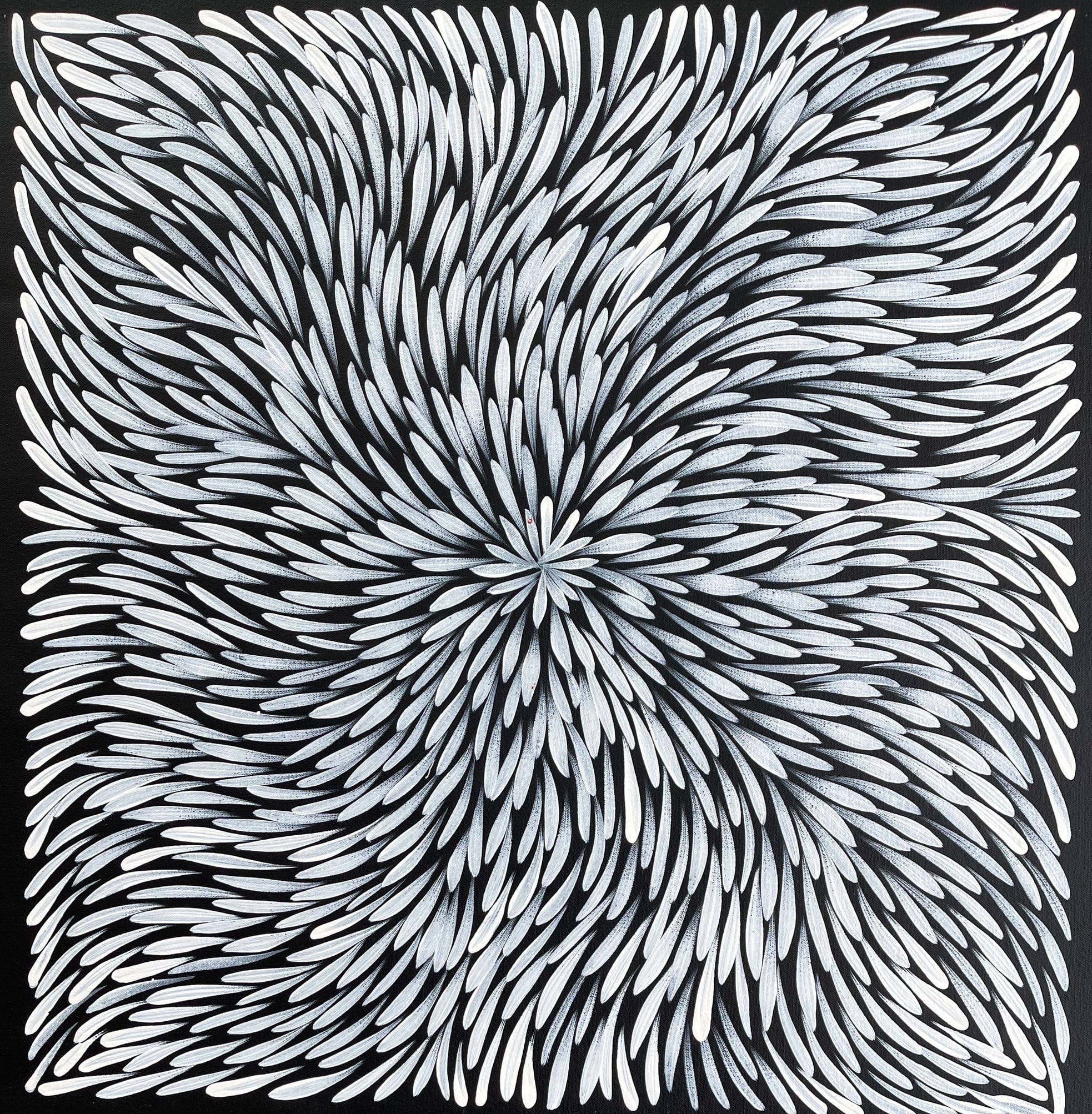 Sharon Numina - Bush Medicine Leaves - 56x58cm .28-17