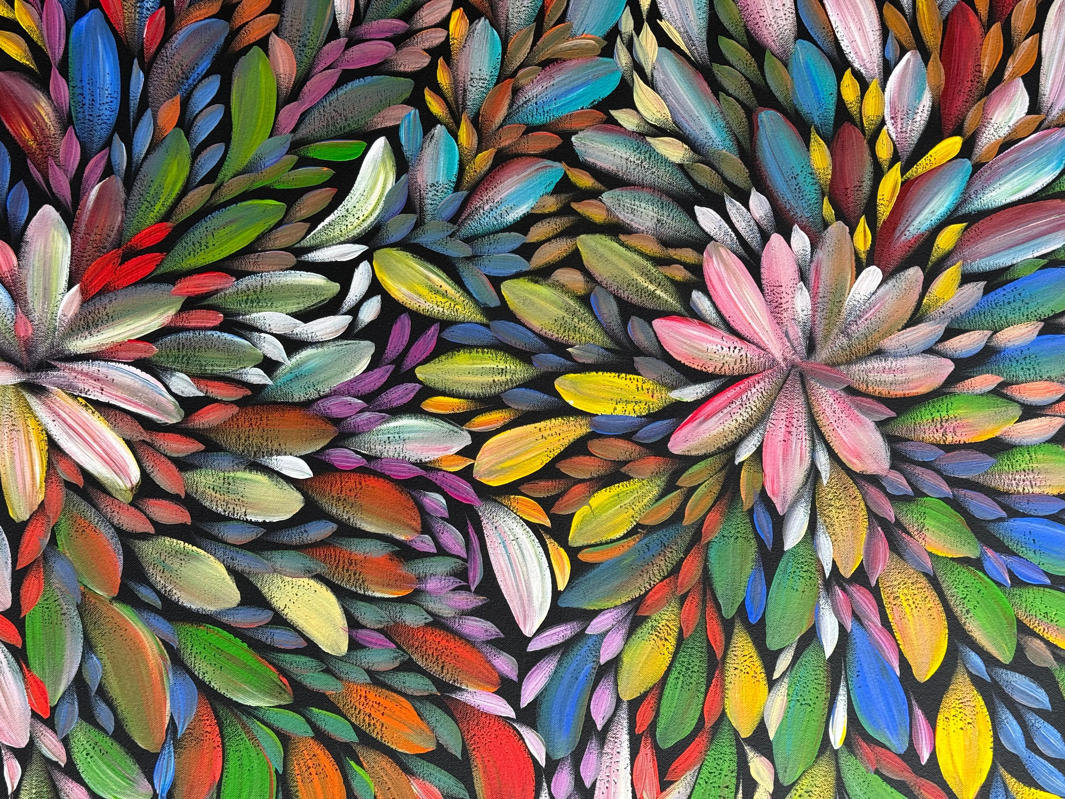 Louise Numina Napananka - Bush Medicine Leaves .21-1
