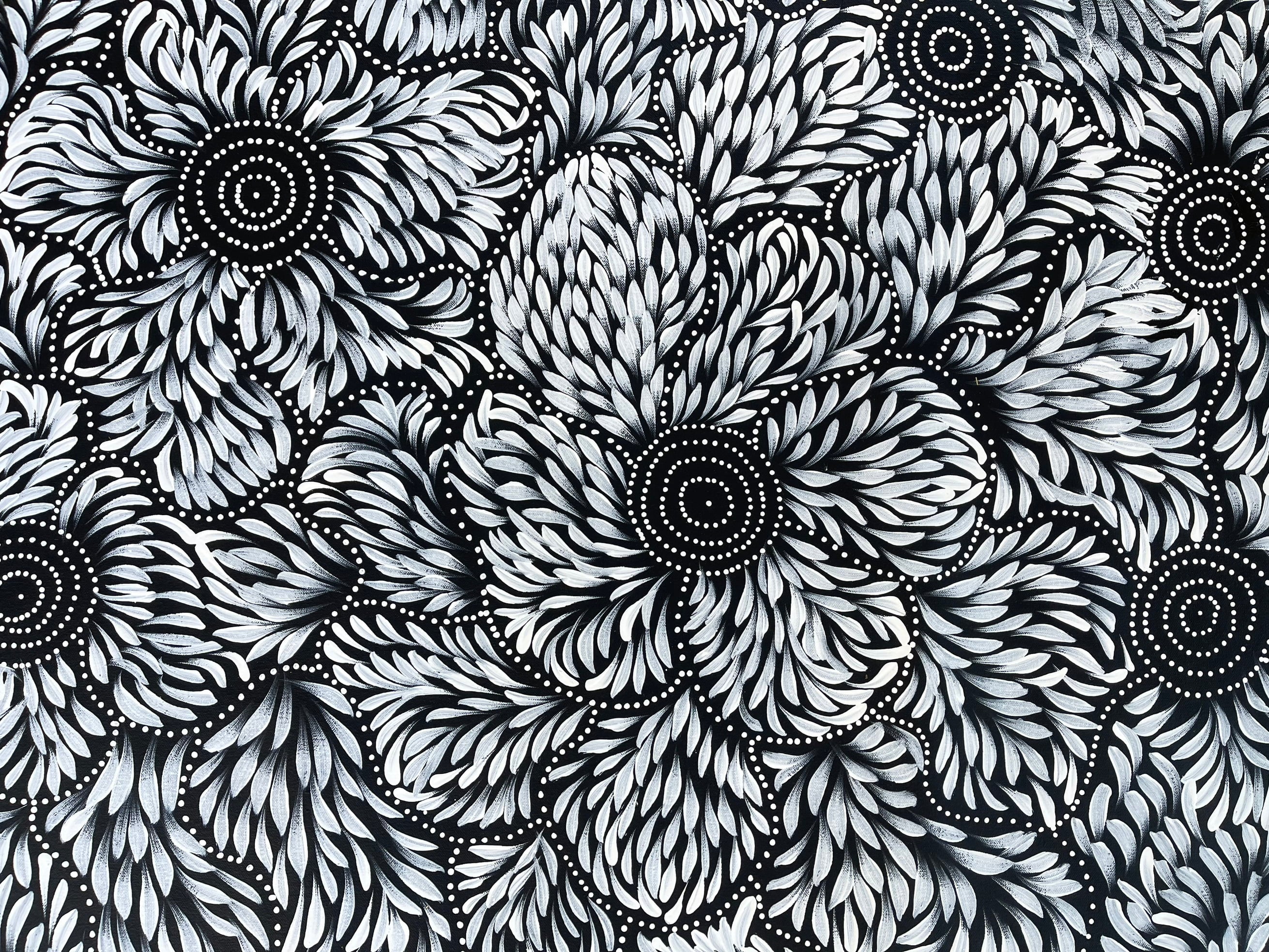 Caroline Numina - Soakage and Bush Medicine Leaves - 99x105cm .25-32